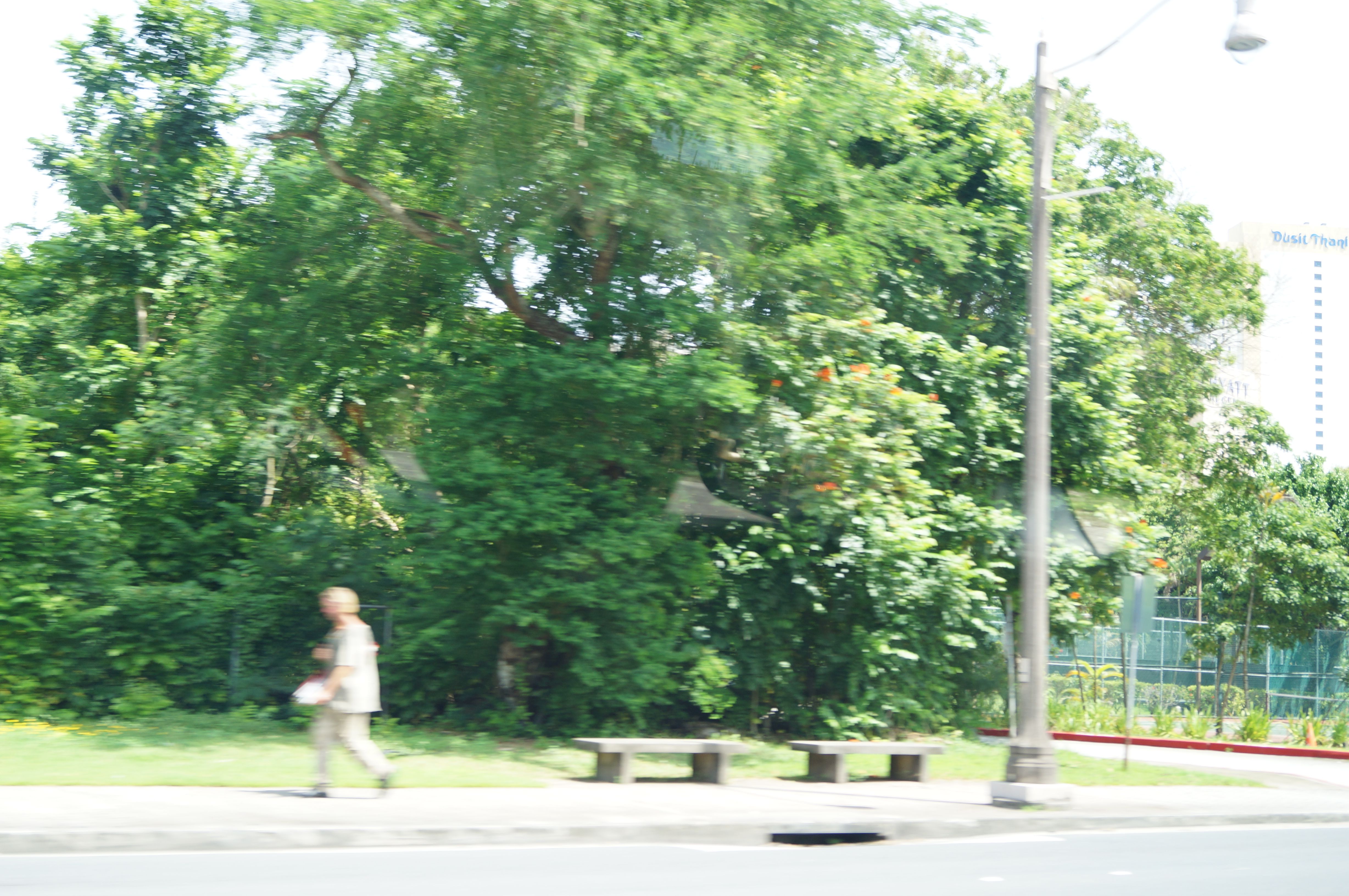 DSC04858.JPG