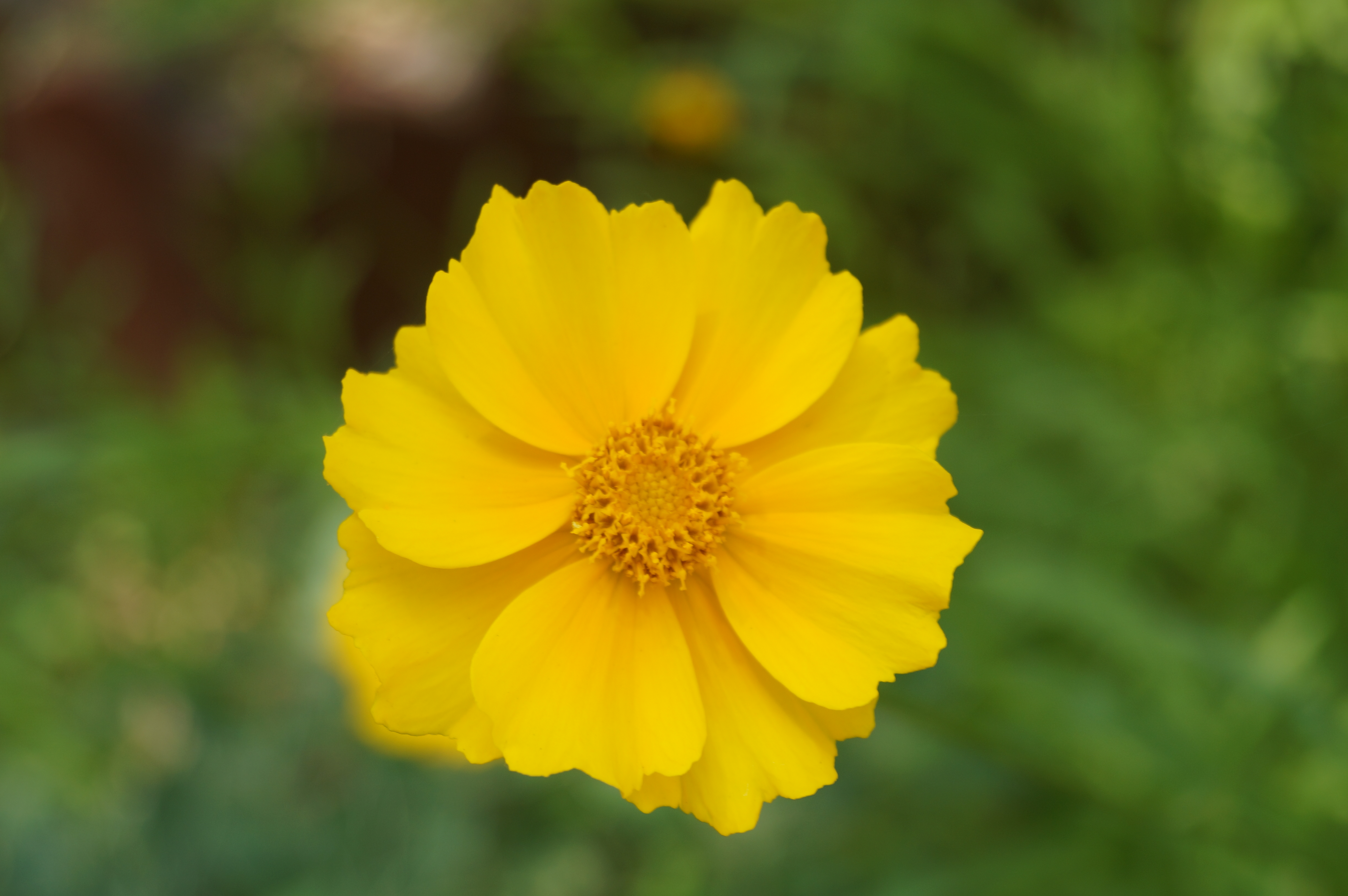 DSC05020.JPG