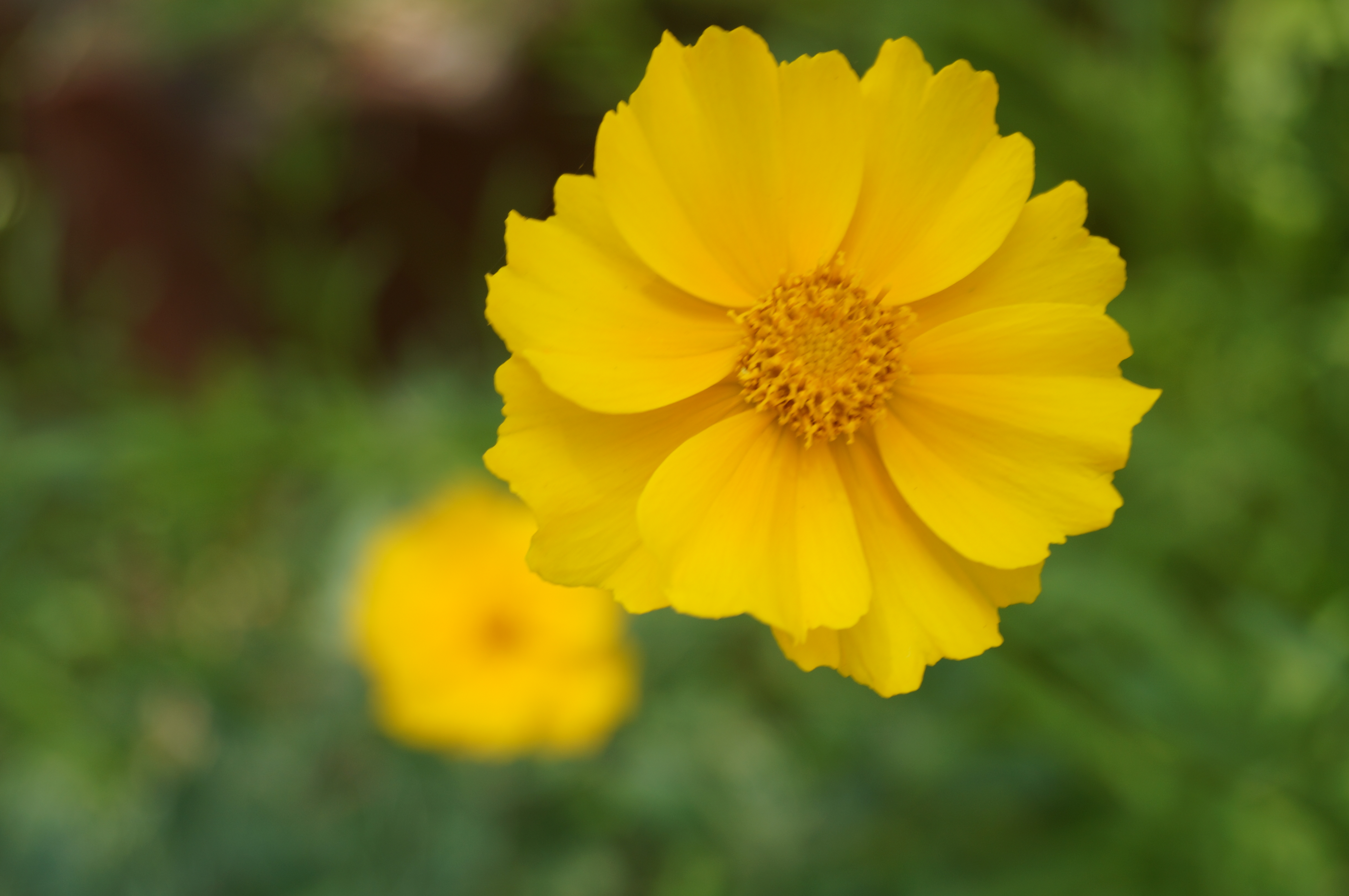 DSC05021.JPG