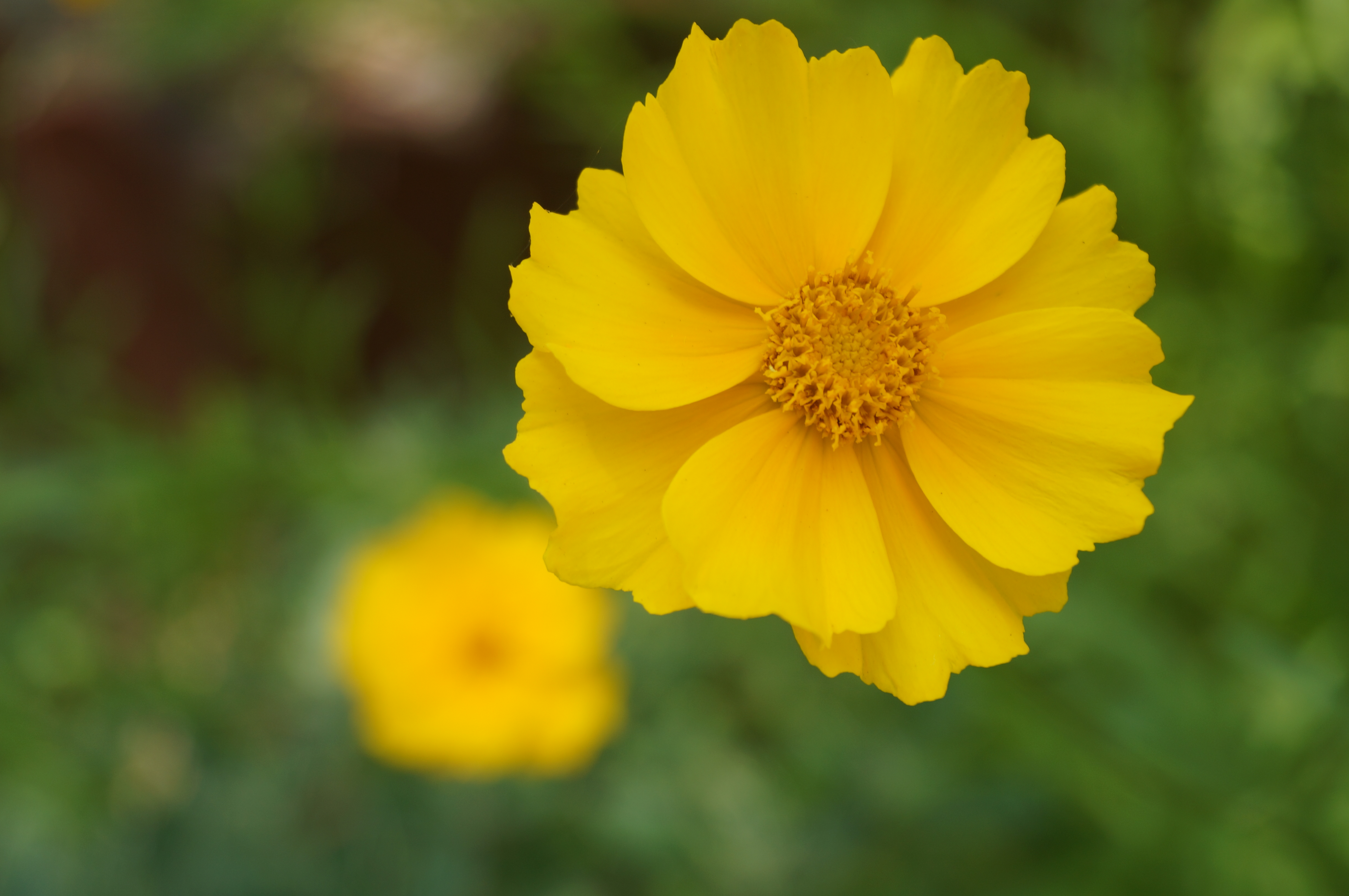 DSC05022.JPG