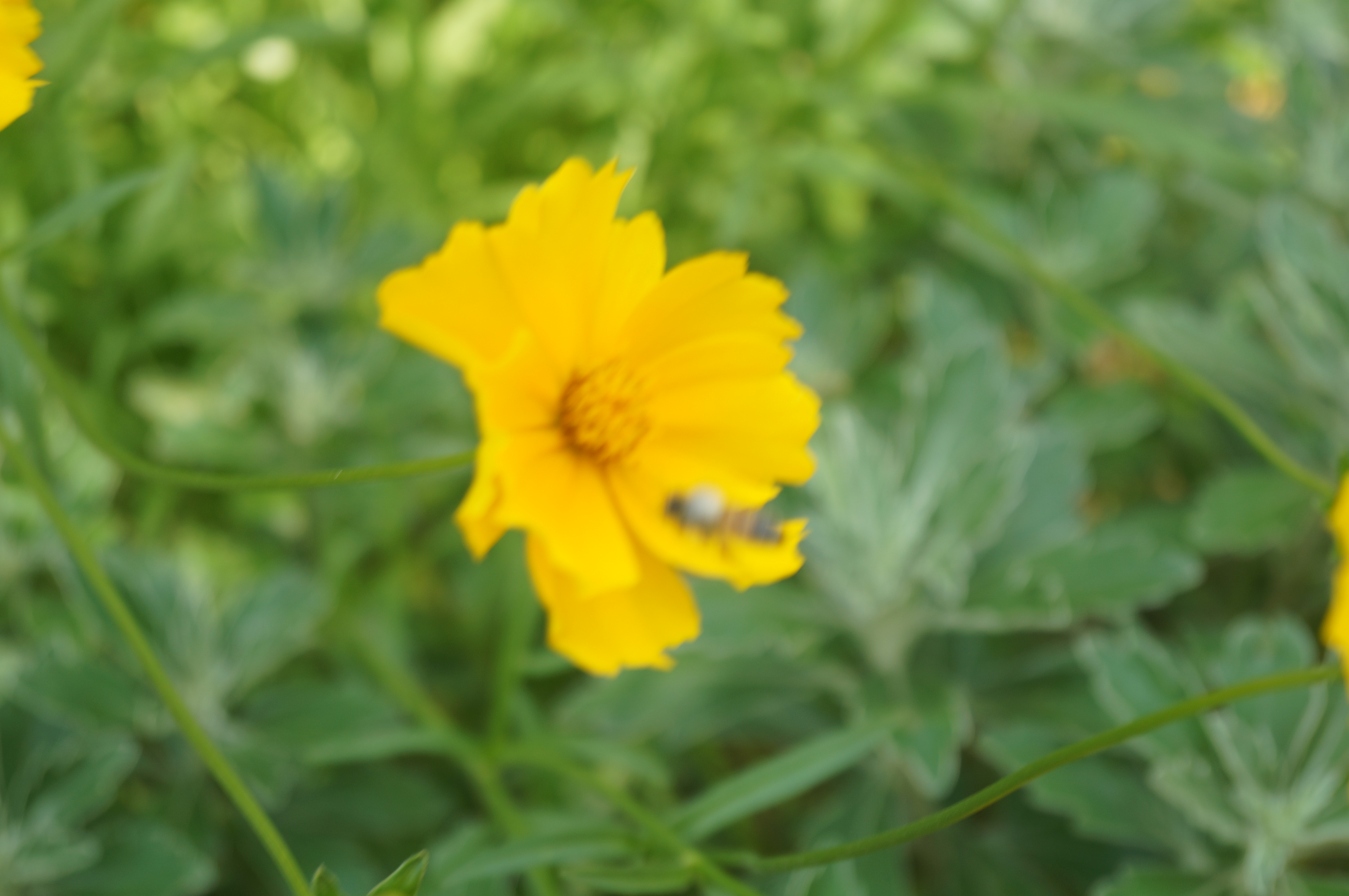 DSC05023.JPG