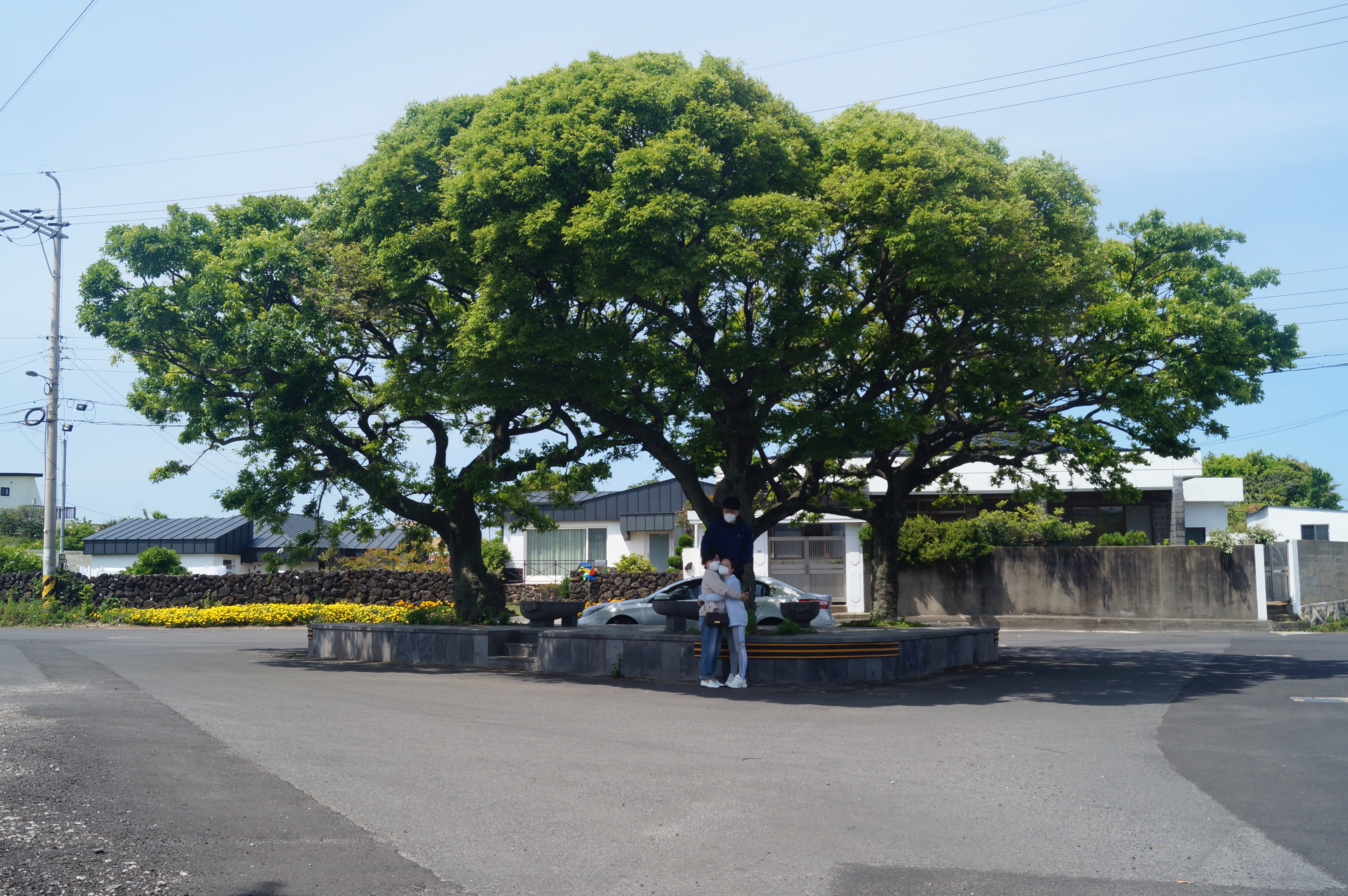 DSC05068.JPG