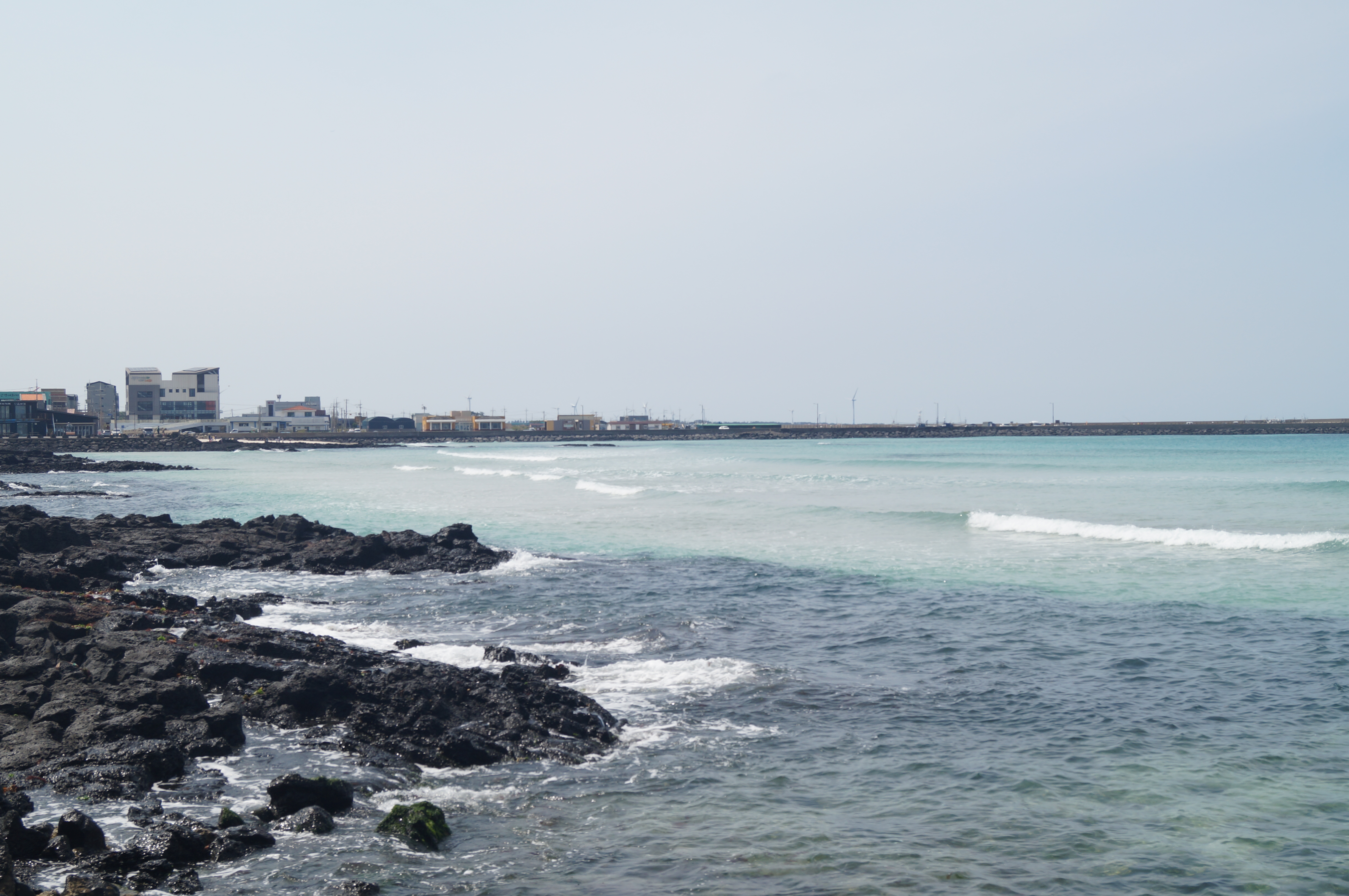 DSC05119.JPG