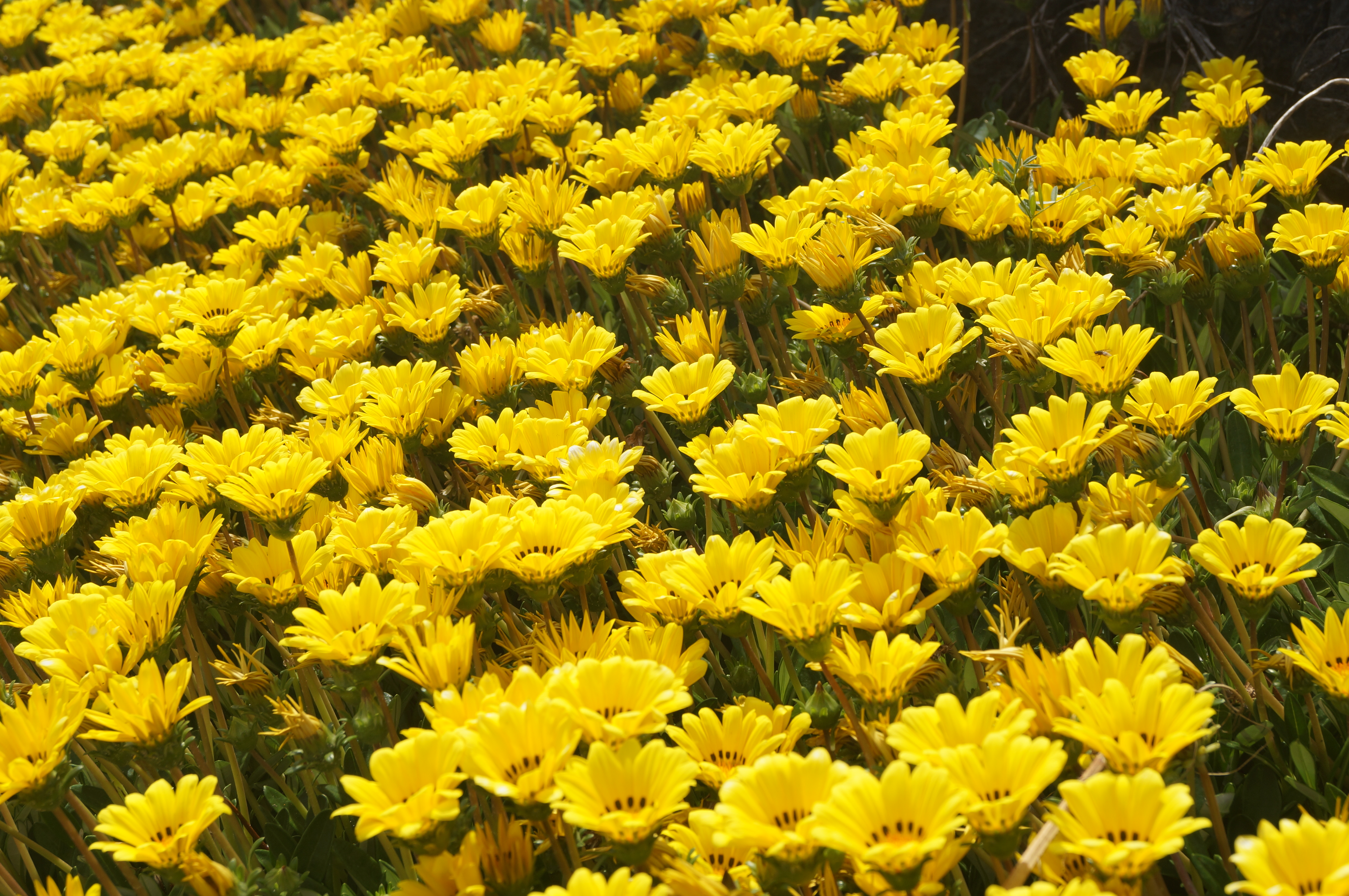 DSC05164.JPG