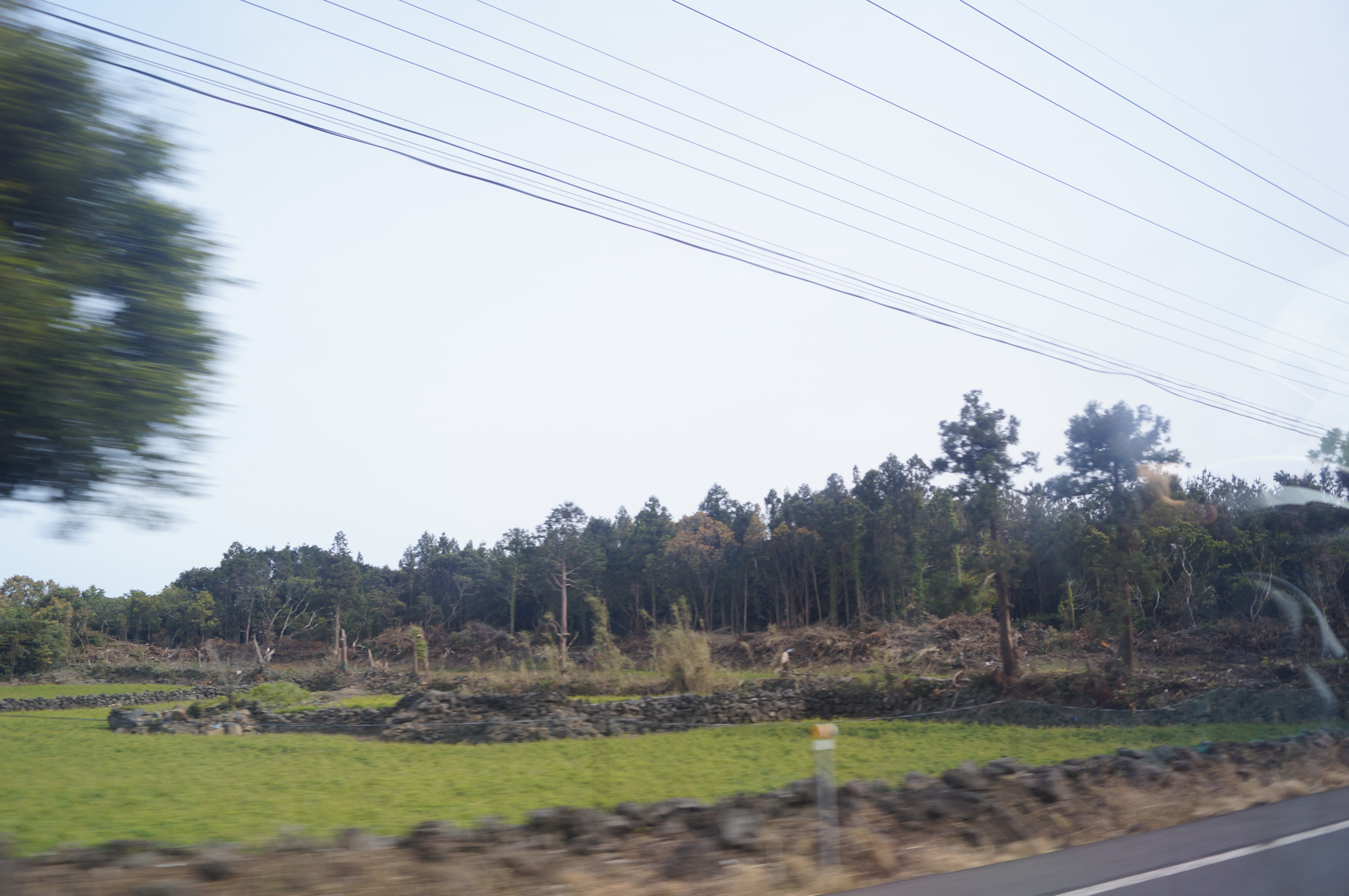 DSC05165.JPG