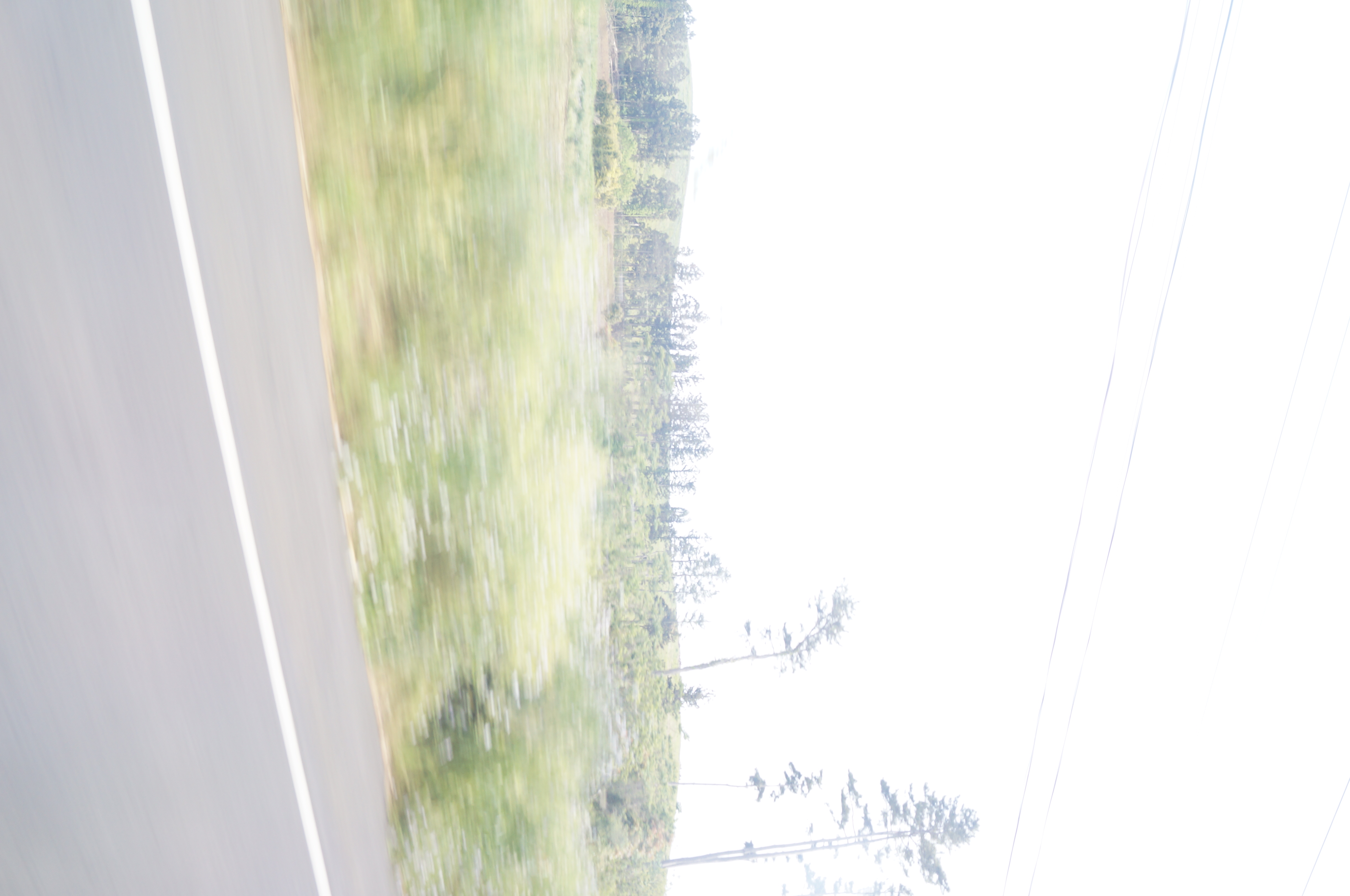 DSC05166.JPG