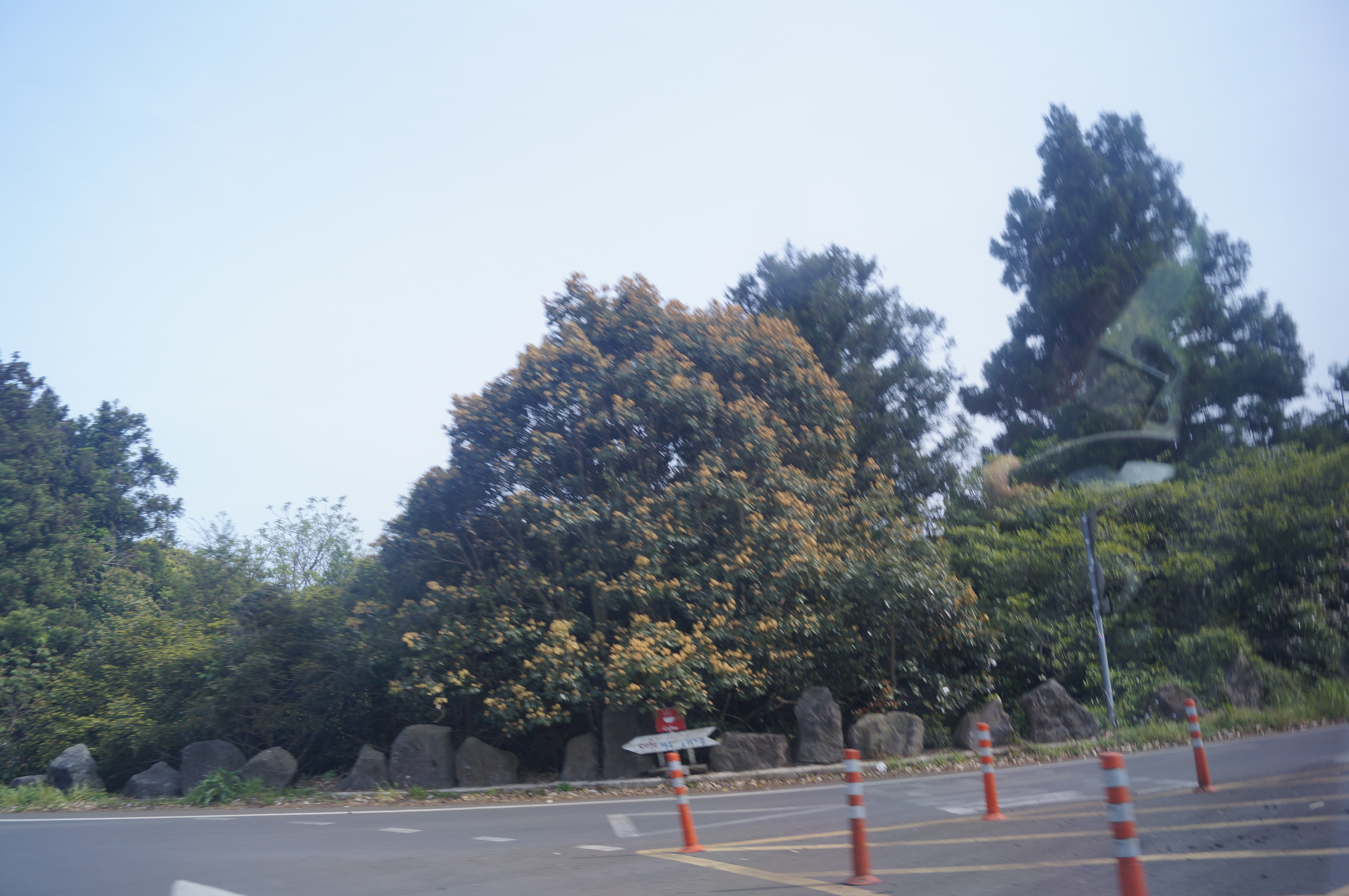 DSC05167.JPG