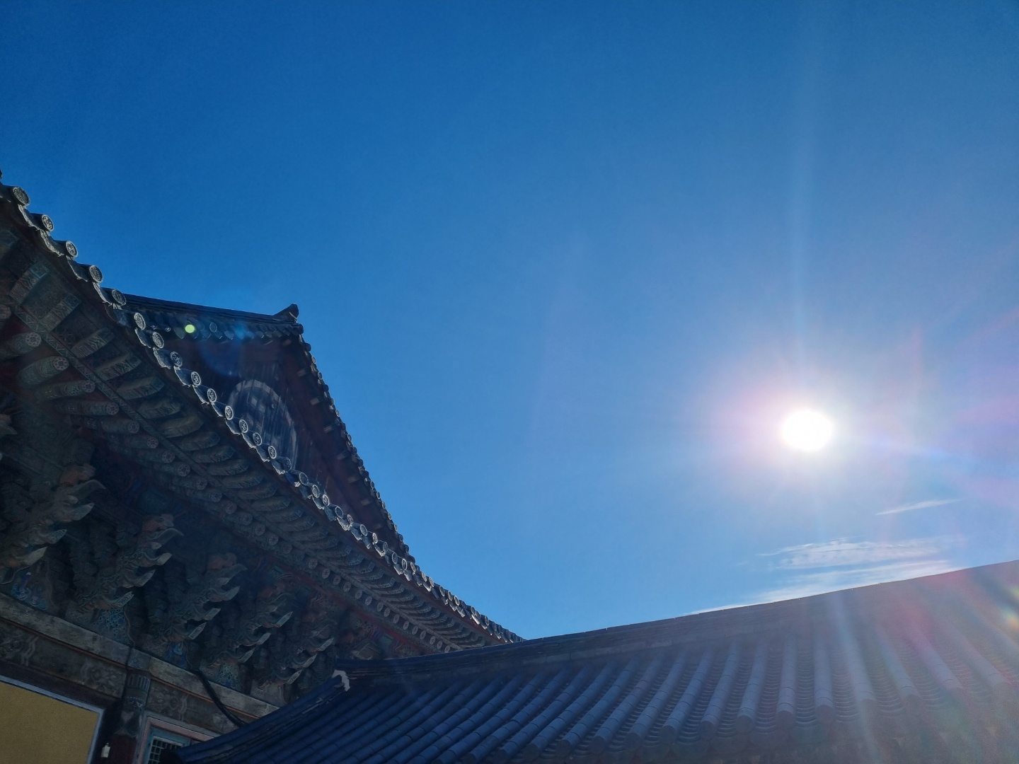 1641011459071.jpg