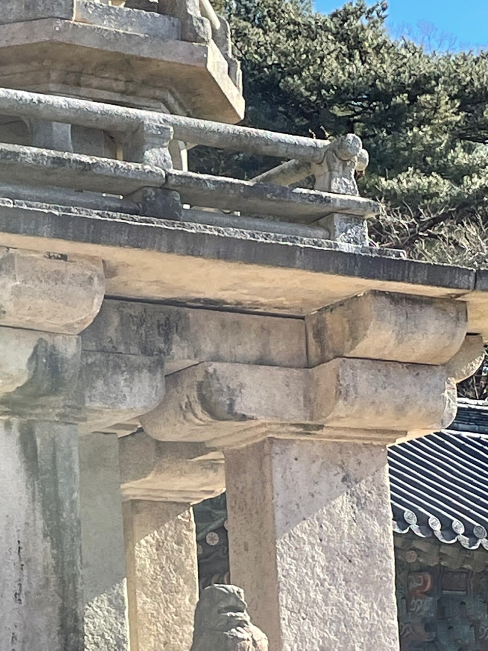 1641011471946.jpg