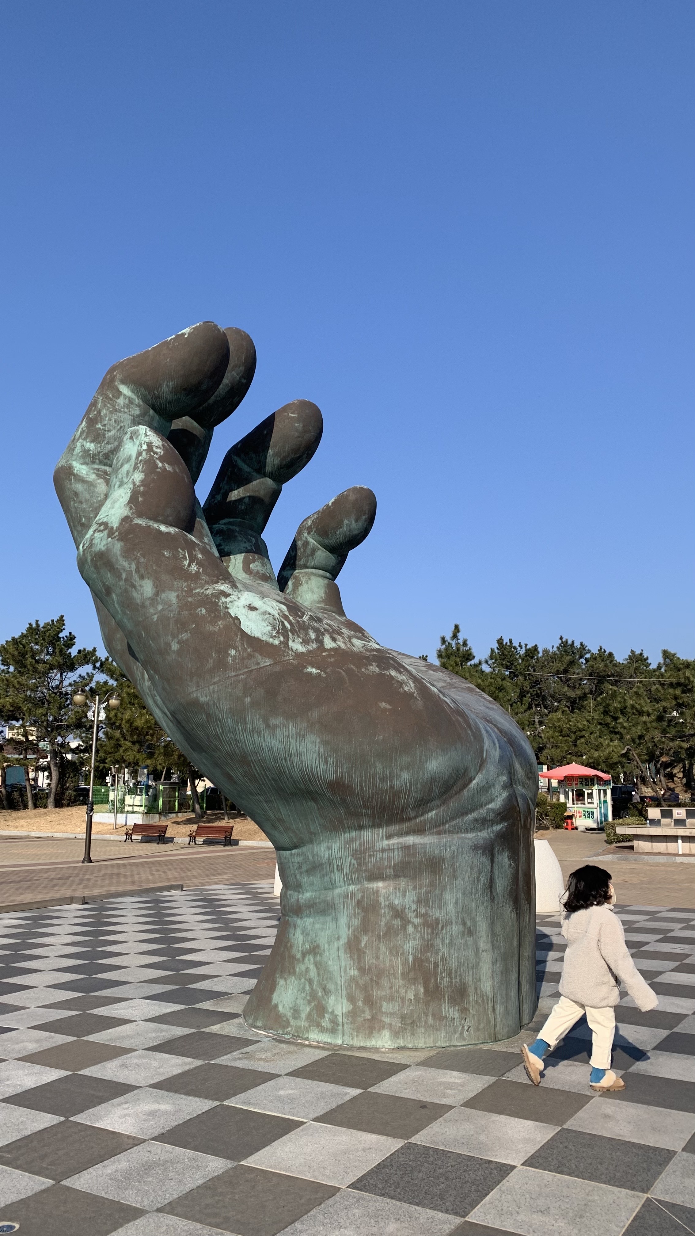 1641121913201.jpg