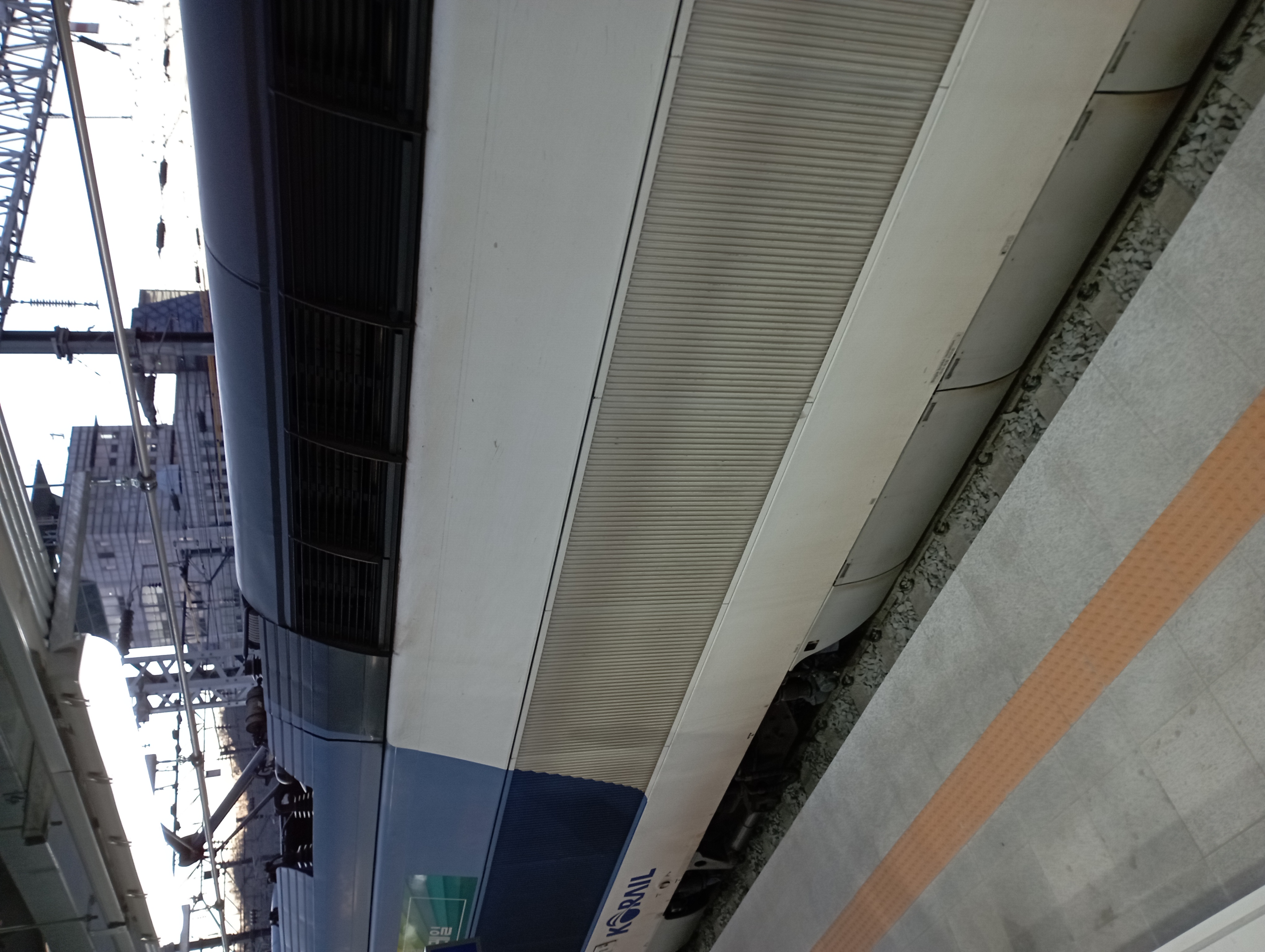 IMG_20211231_074038.jpg