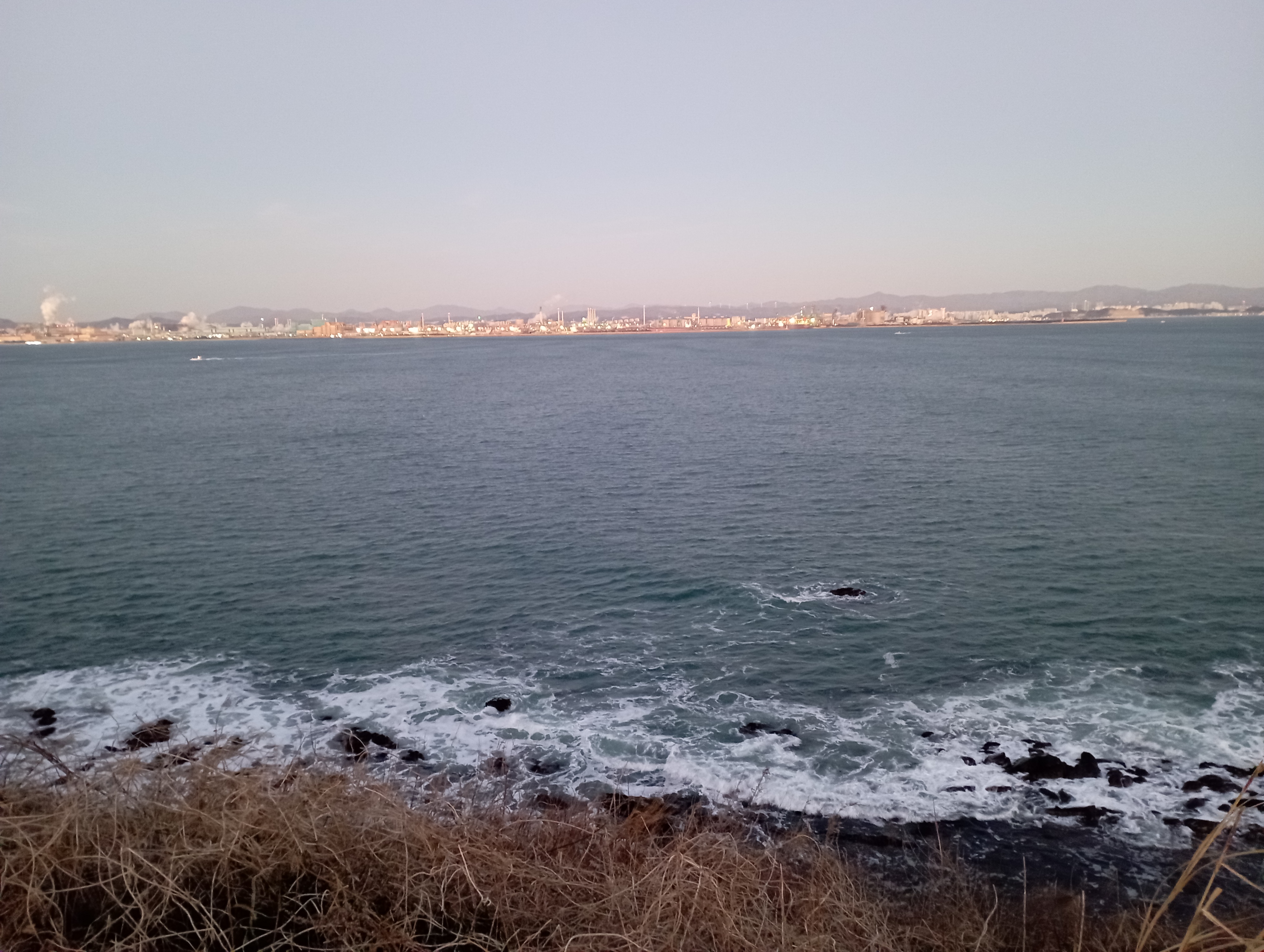 IMG_20220101_071225.jpg