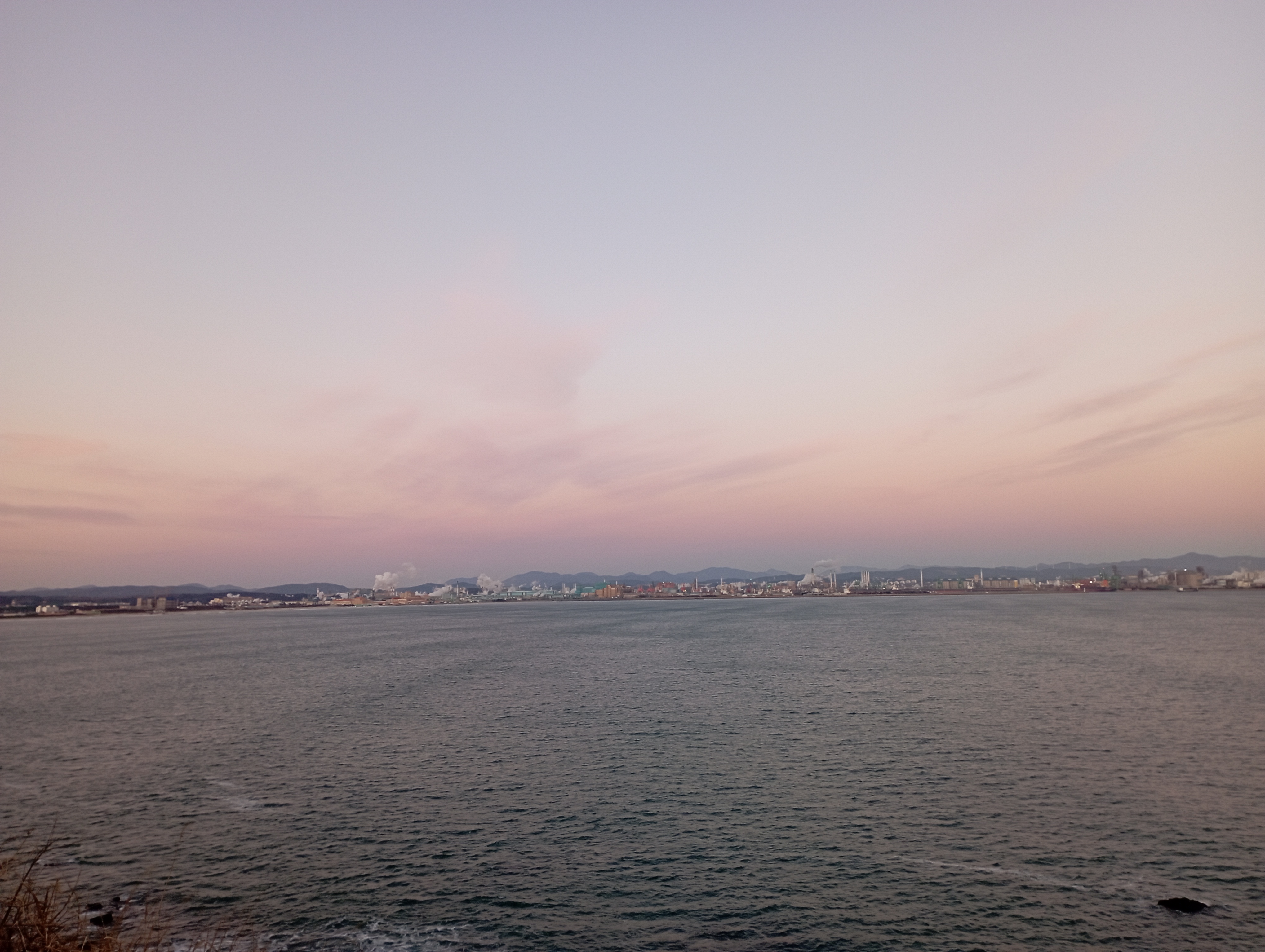 IMG_20220101_073004.jpg