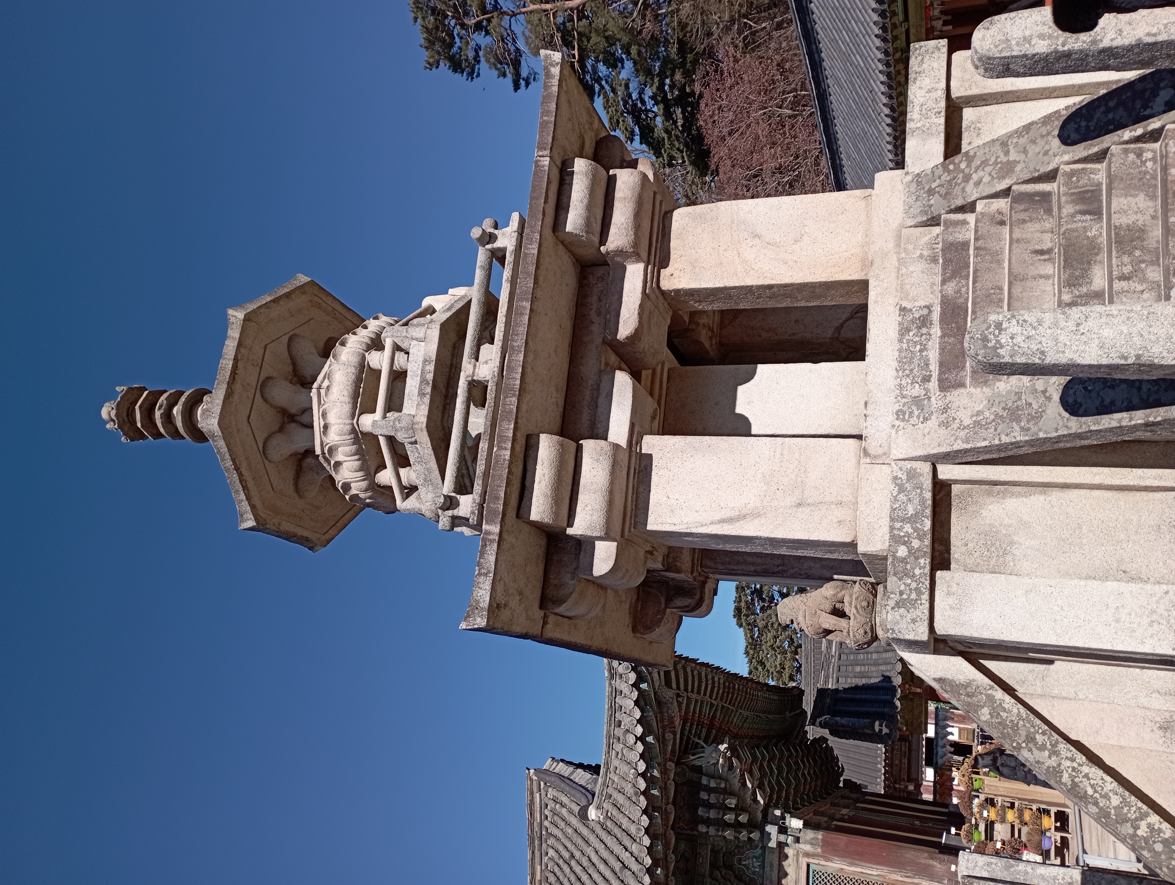 IMG_20220101_115104.jpg