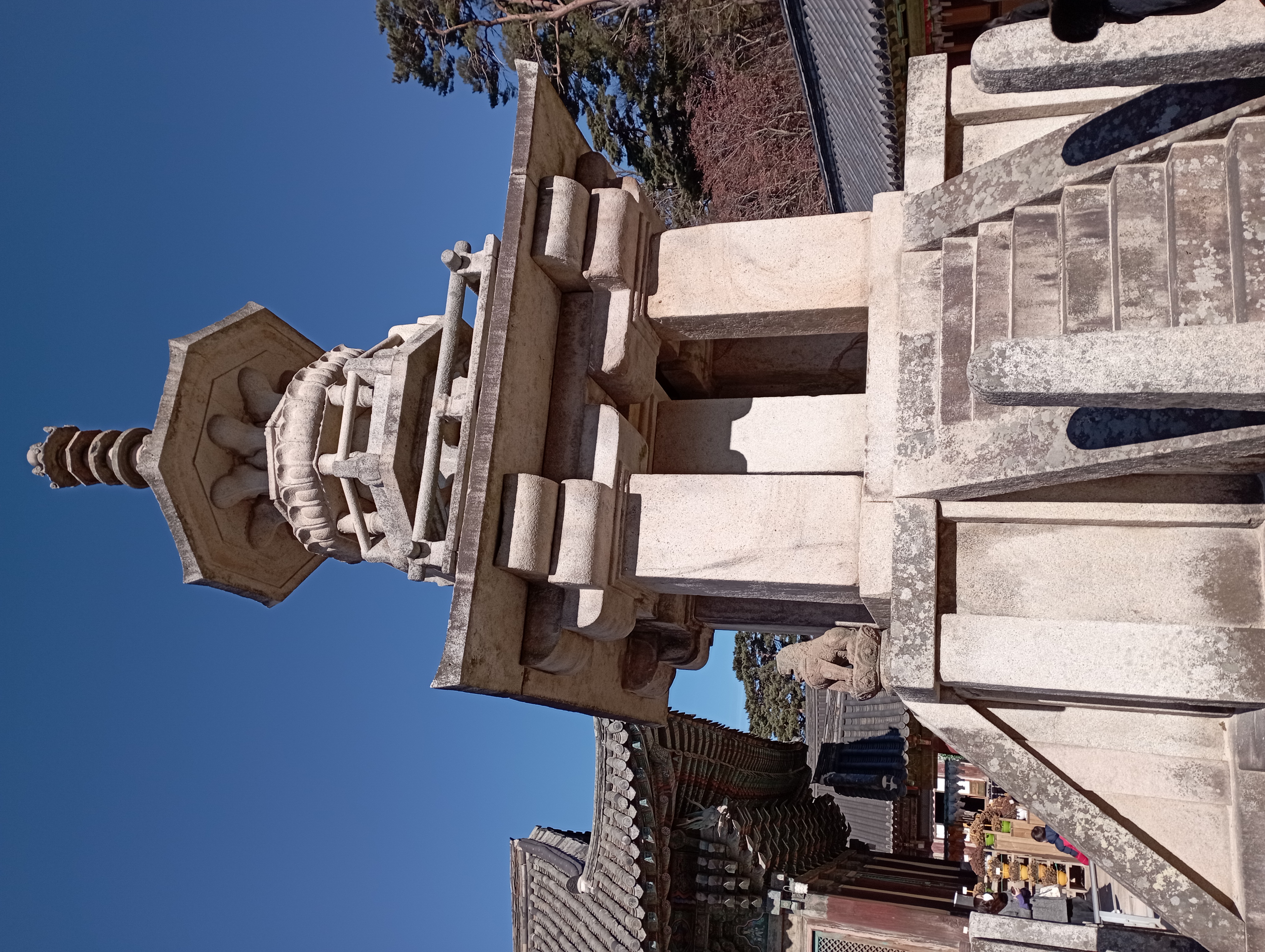 IMG_20220101_115106.jpg
