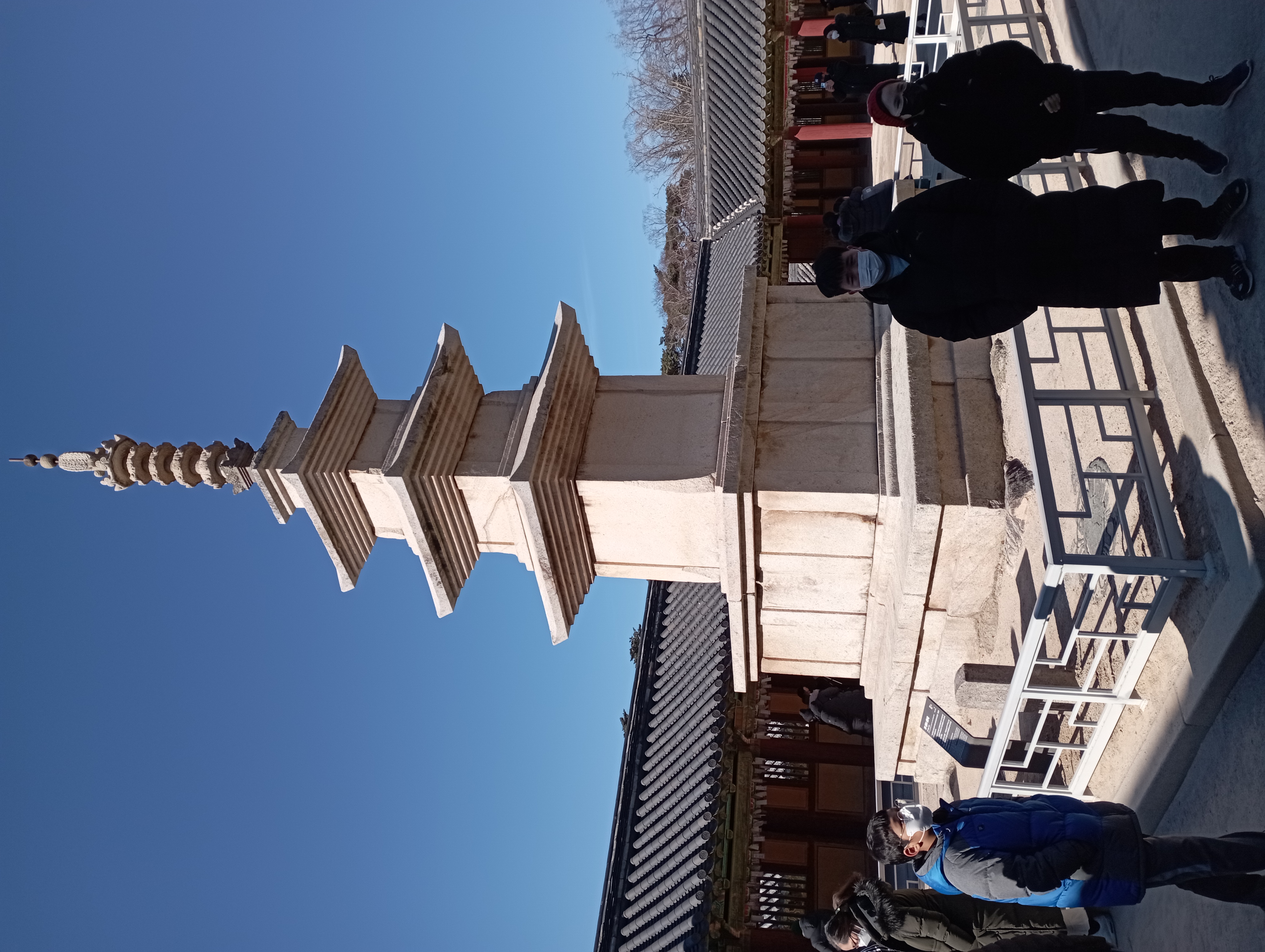 IMG_20220101_115140.jpg