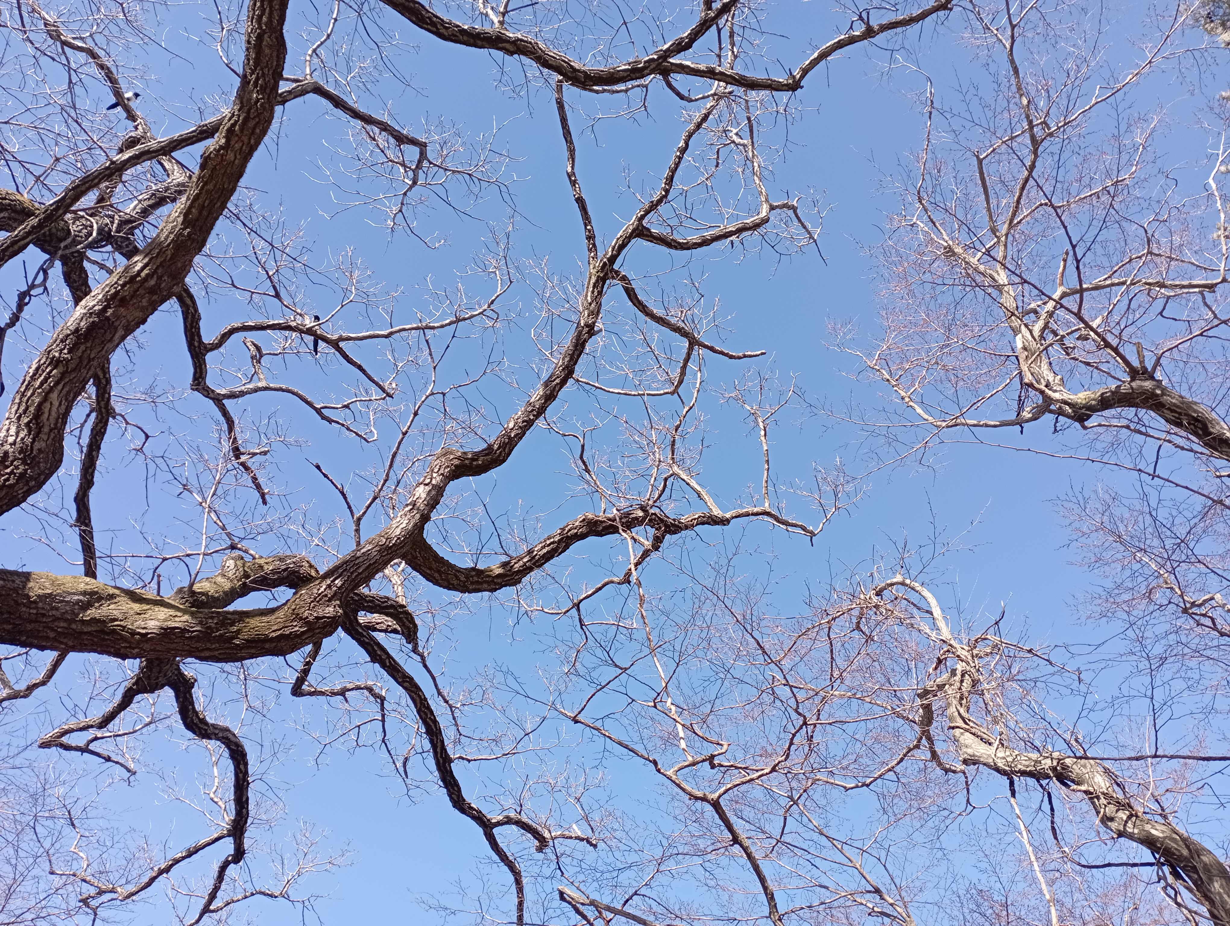 IMG_20220101_121123.jpg