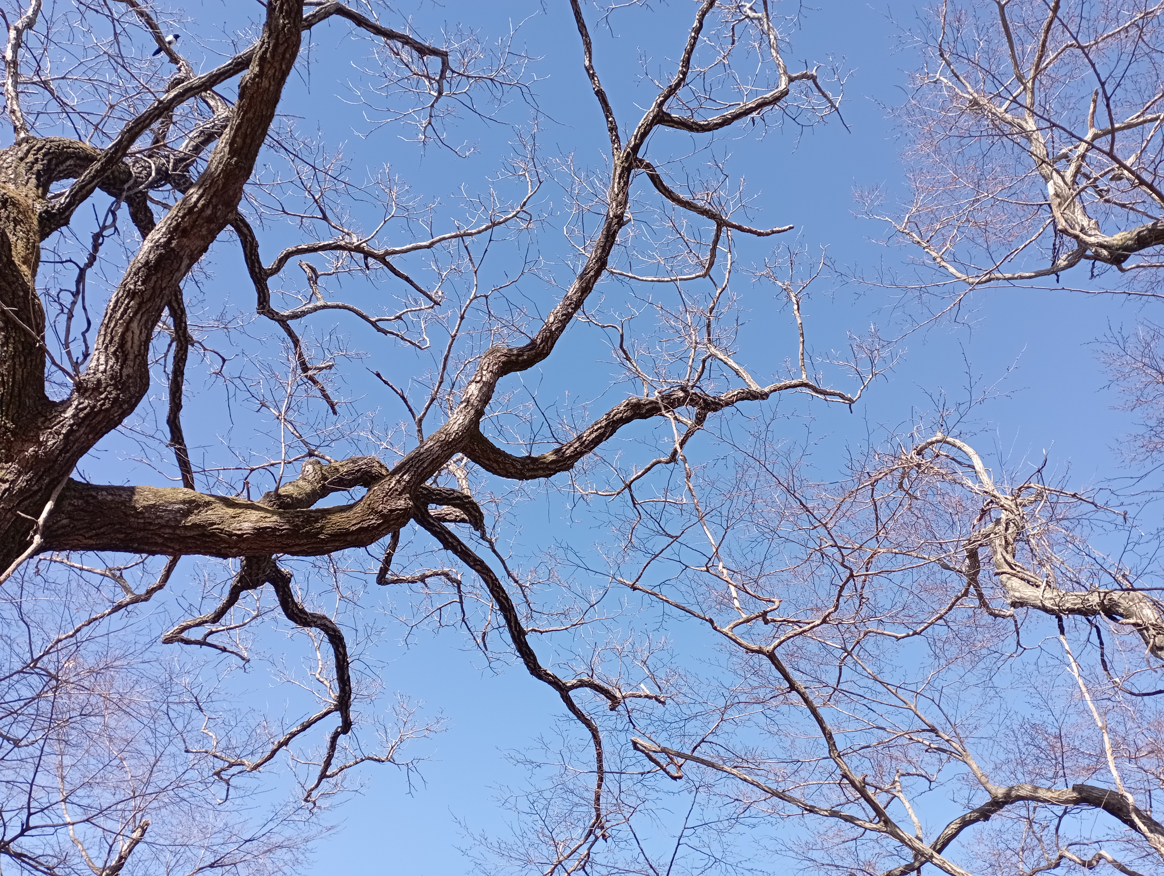 IMG_20220101_121125.jpg