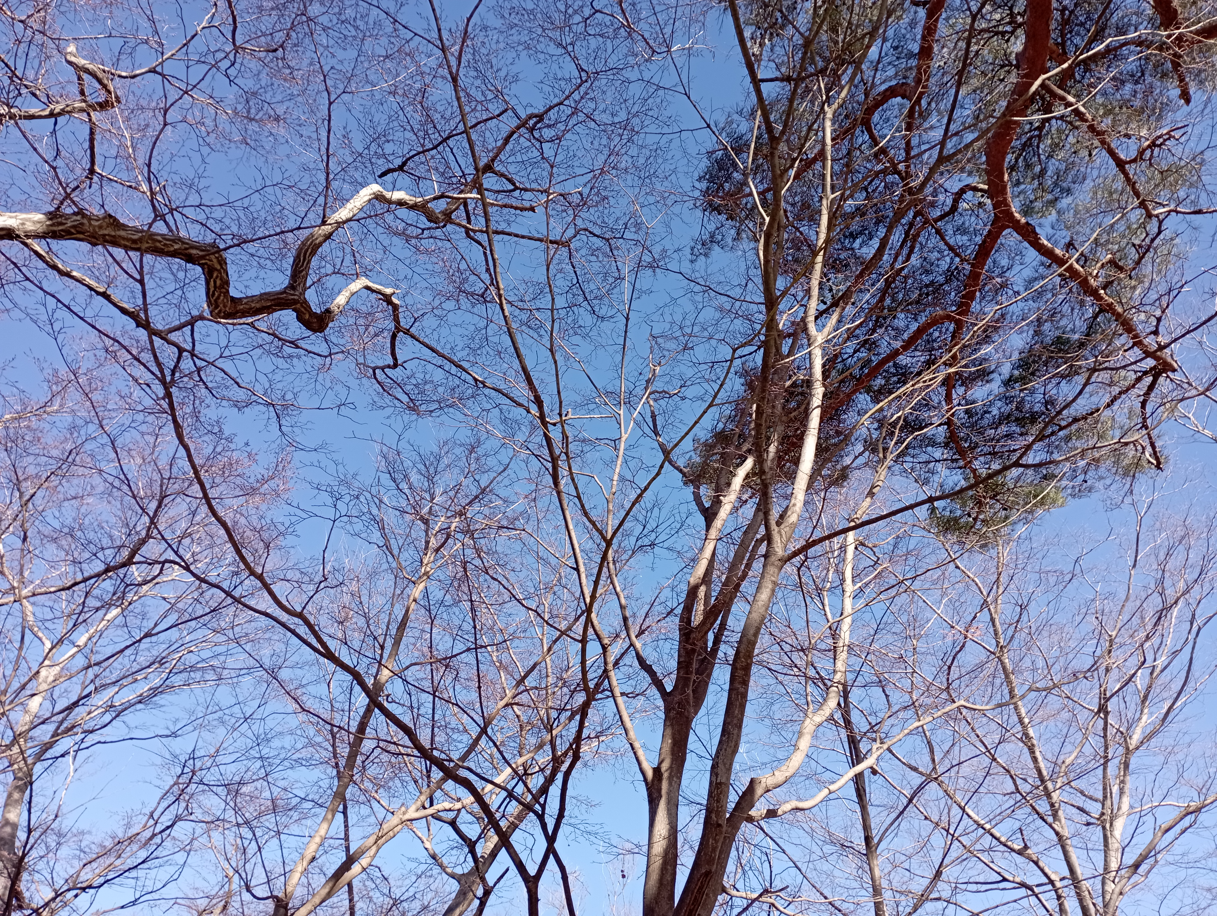 IMG_20220101_121141.jpg