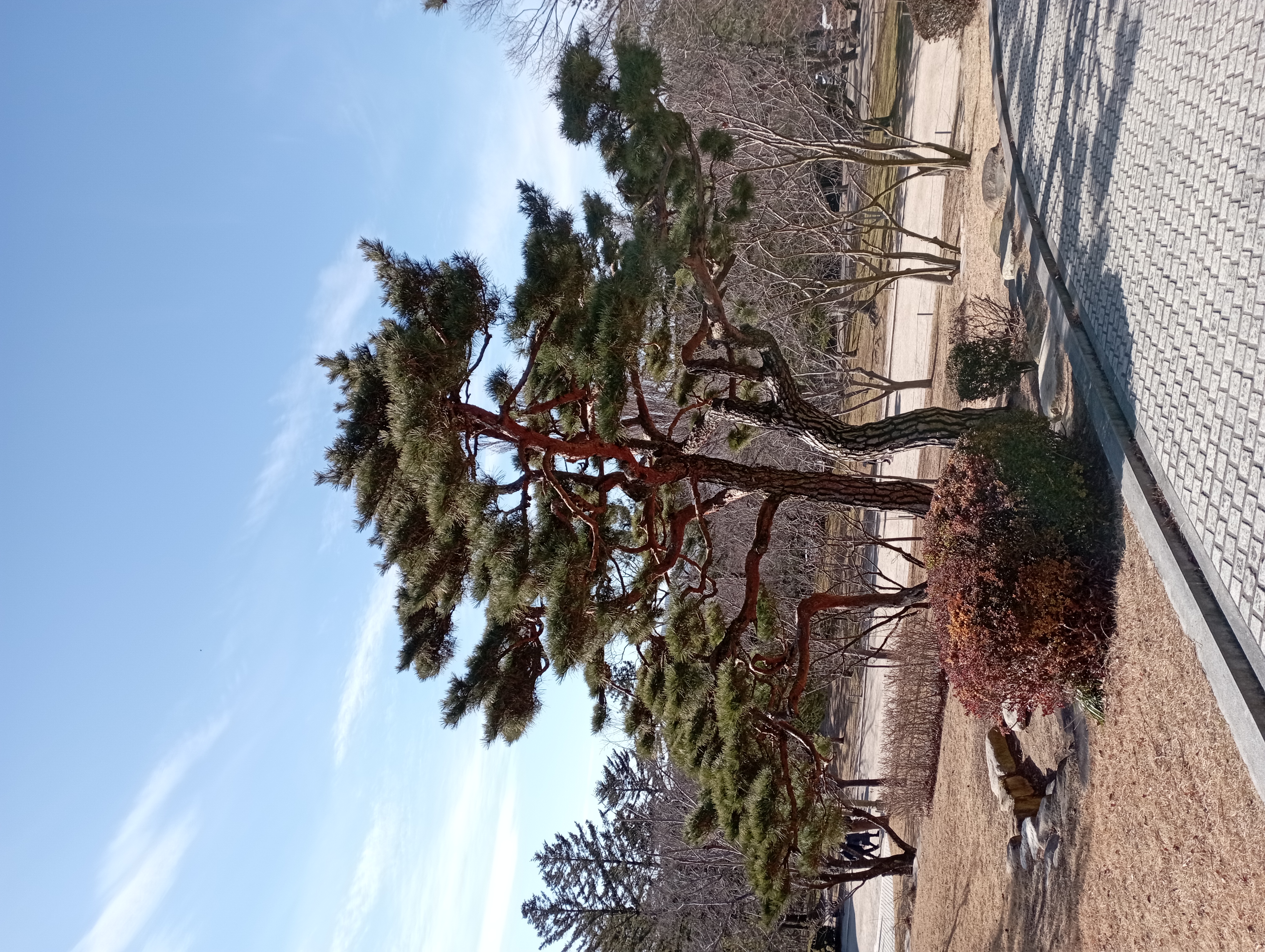 IMG_20220101_121404.jpg