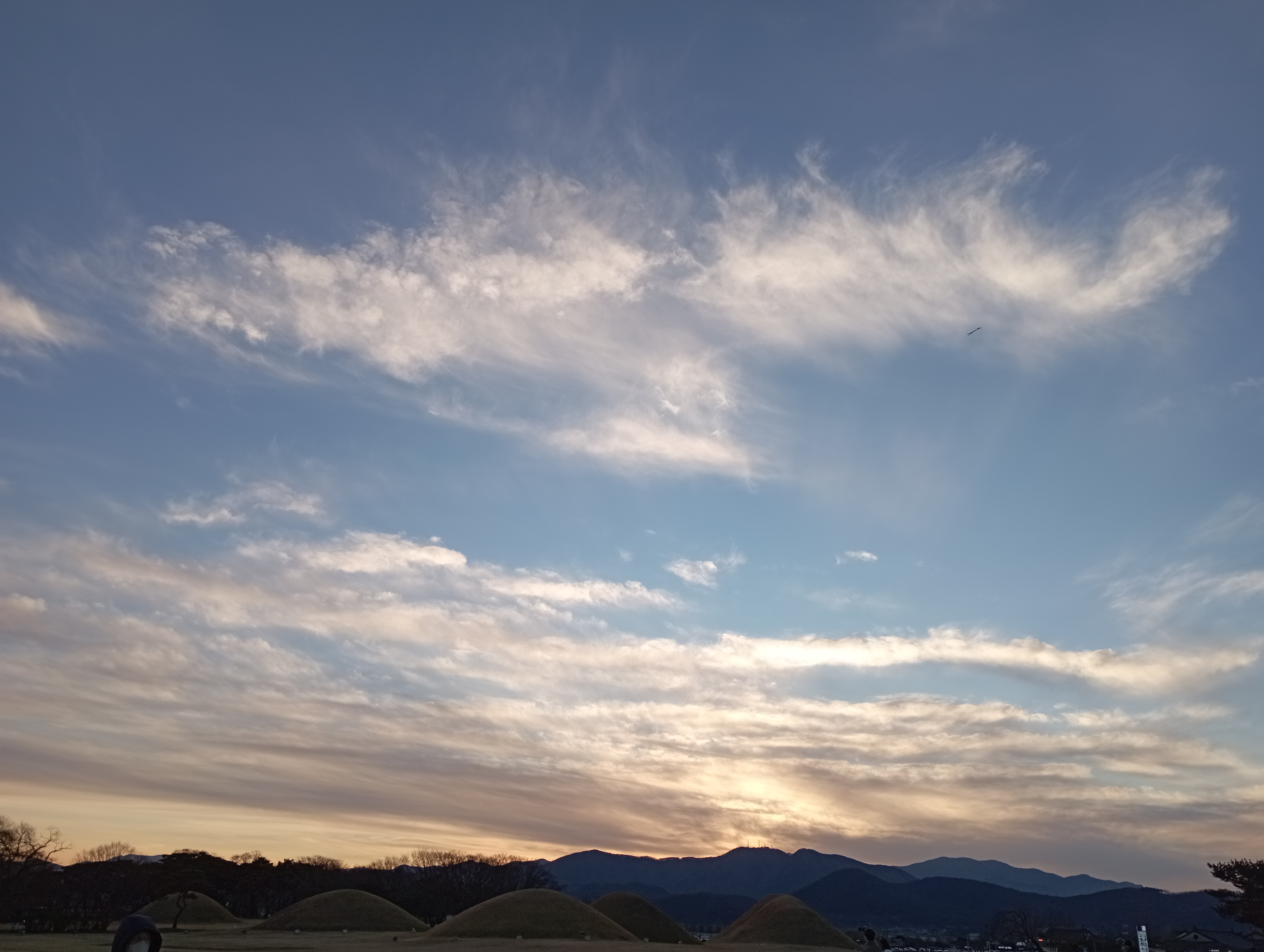 IMG_20220101_170042.jpg
