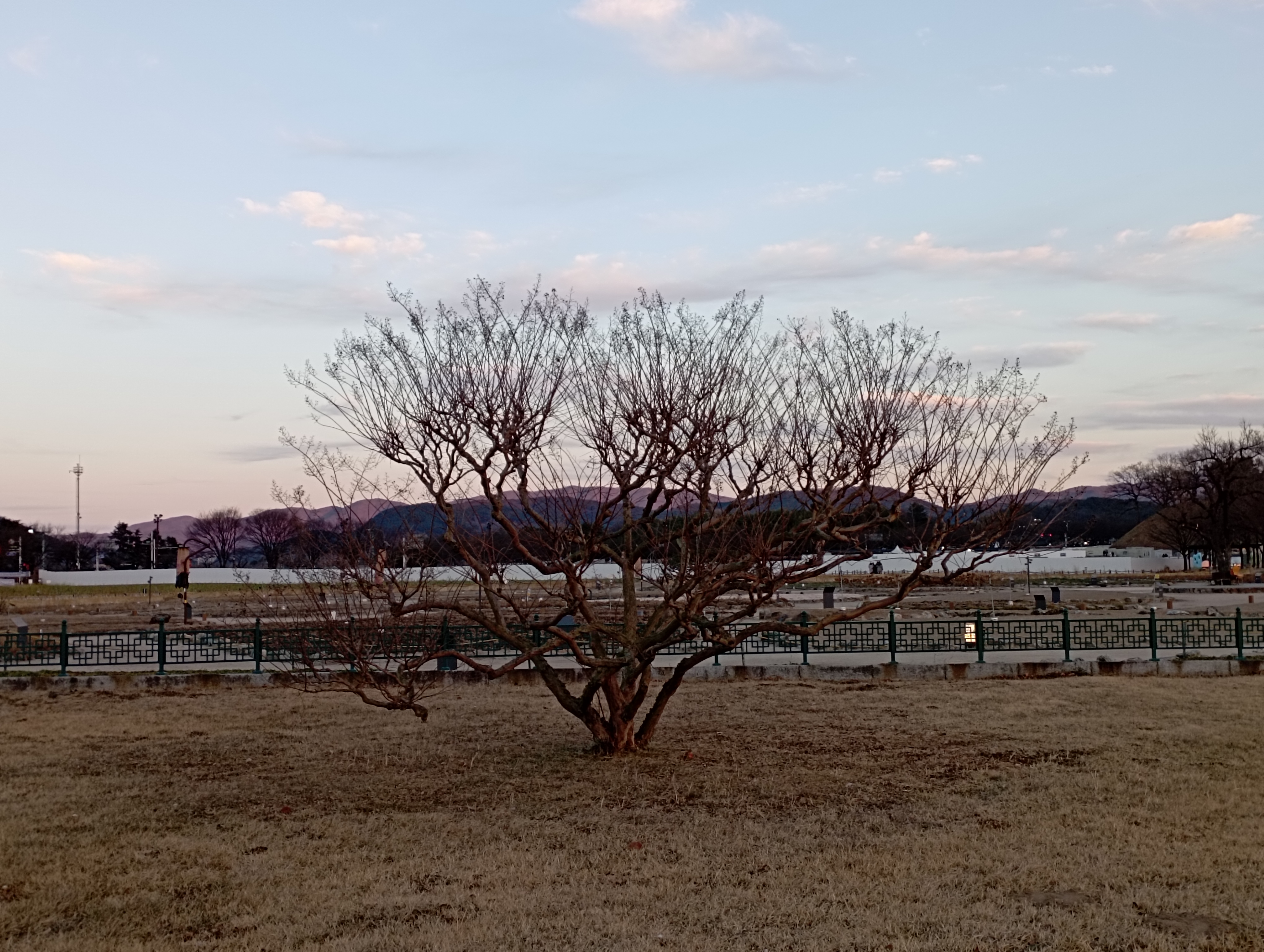 IMG_20220101_171127.jpg