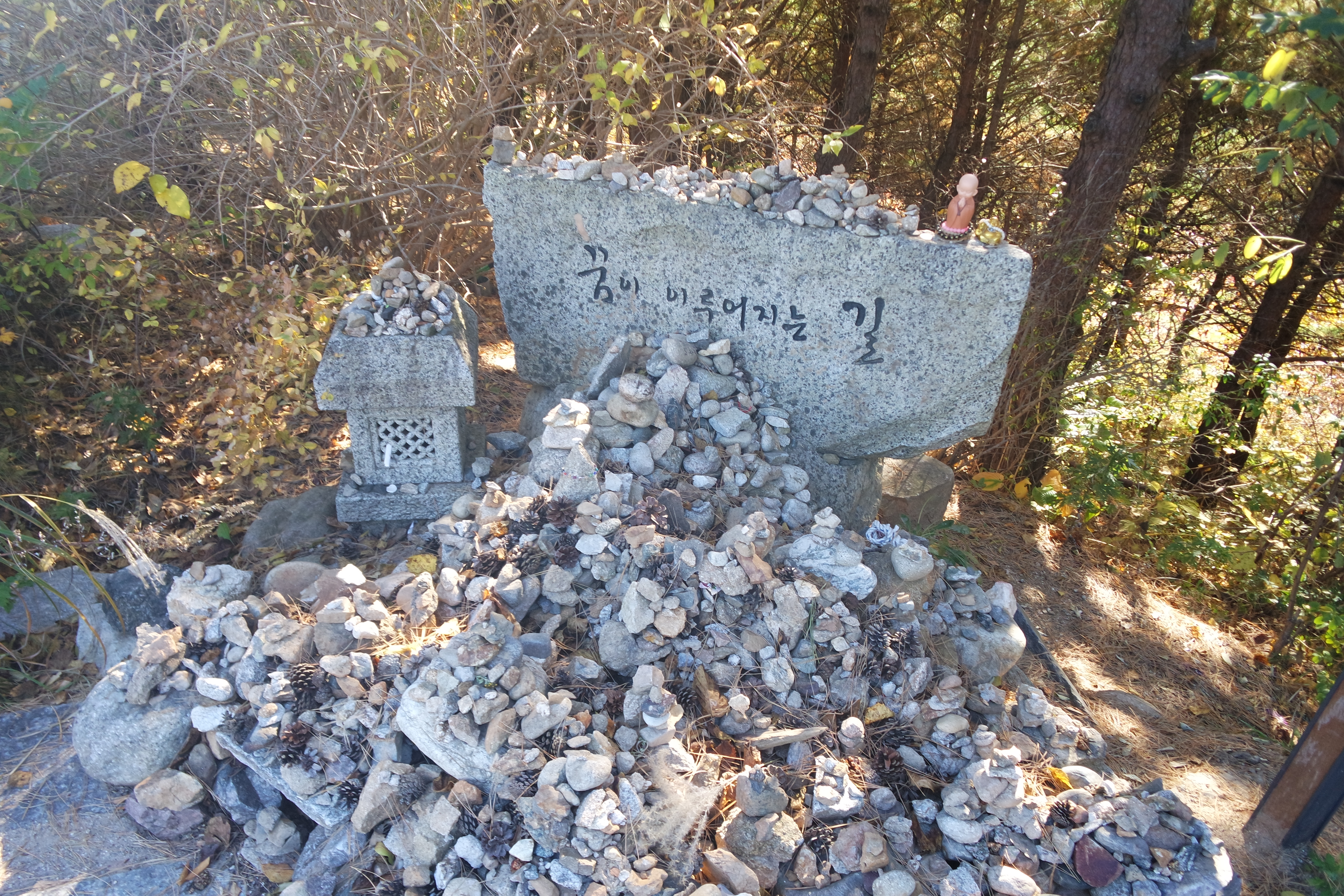 2022-11-05 12-52-0102.JPG