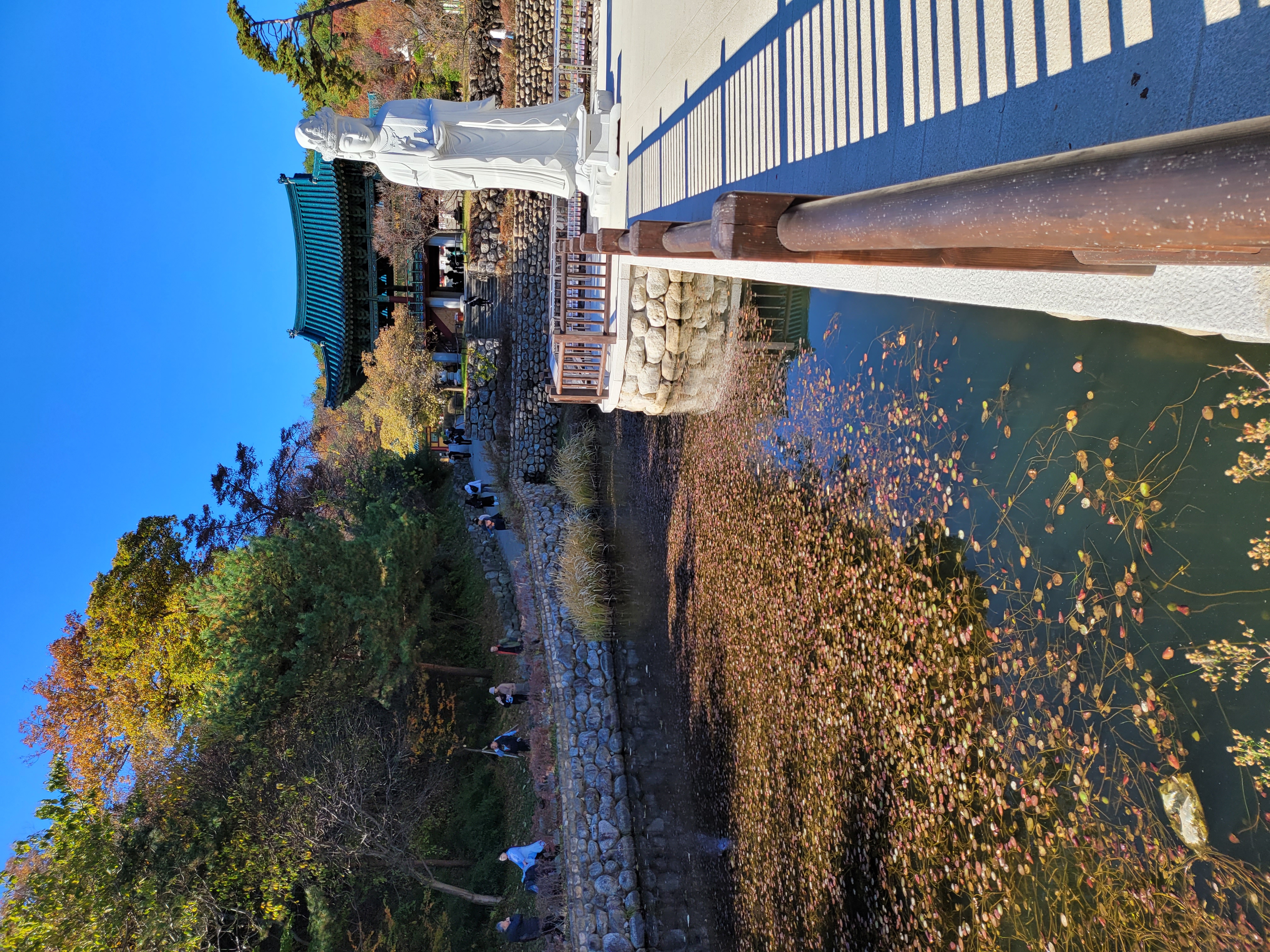 2022-11-06 00-06-0012.jpg