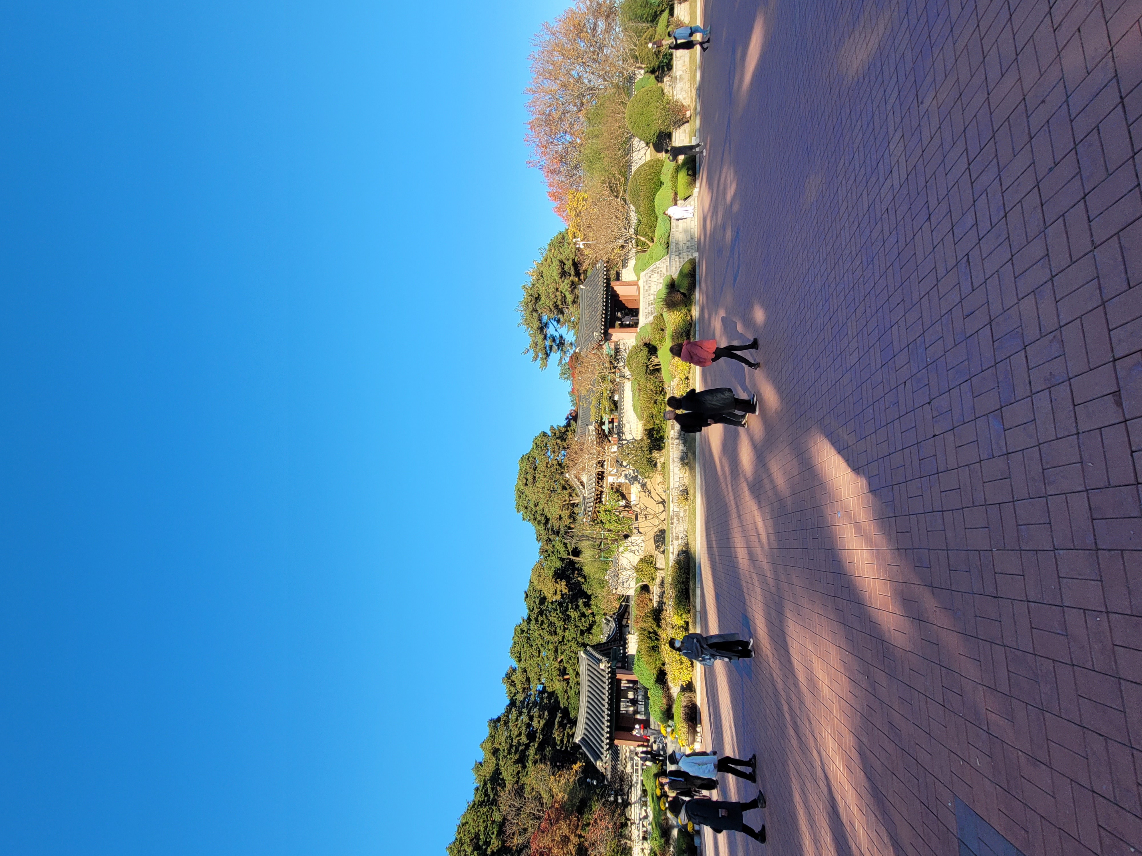 2022-11-06 00-06-0038.jpg