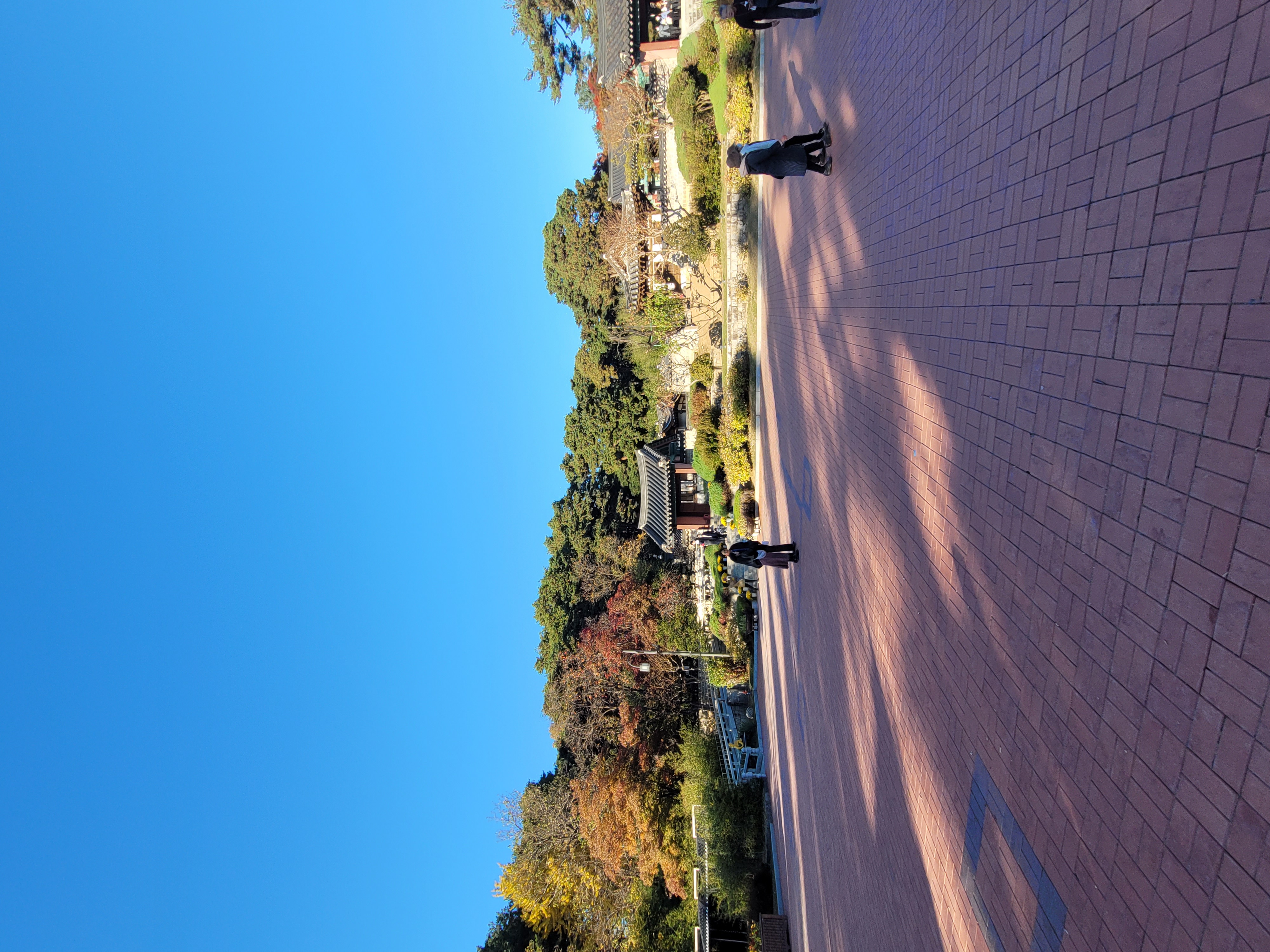 2022-11-06 00-06-0039.jpg