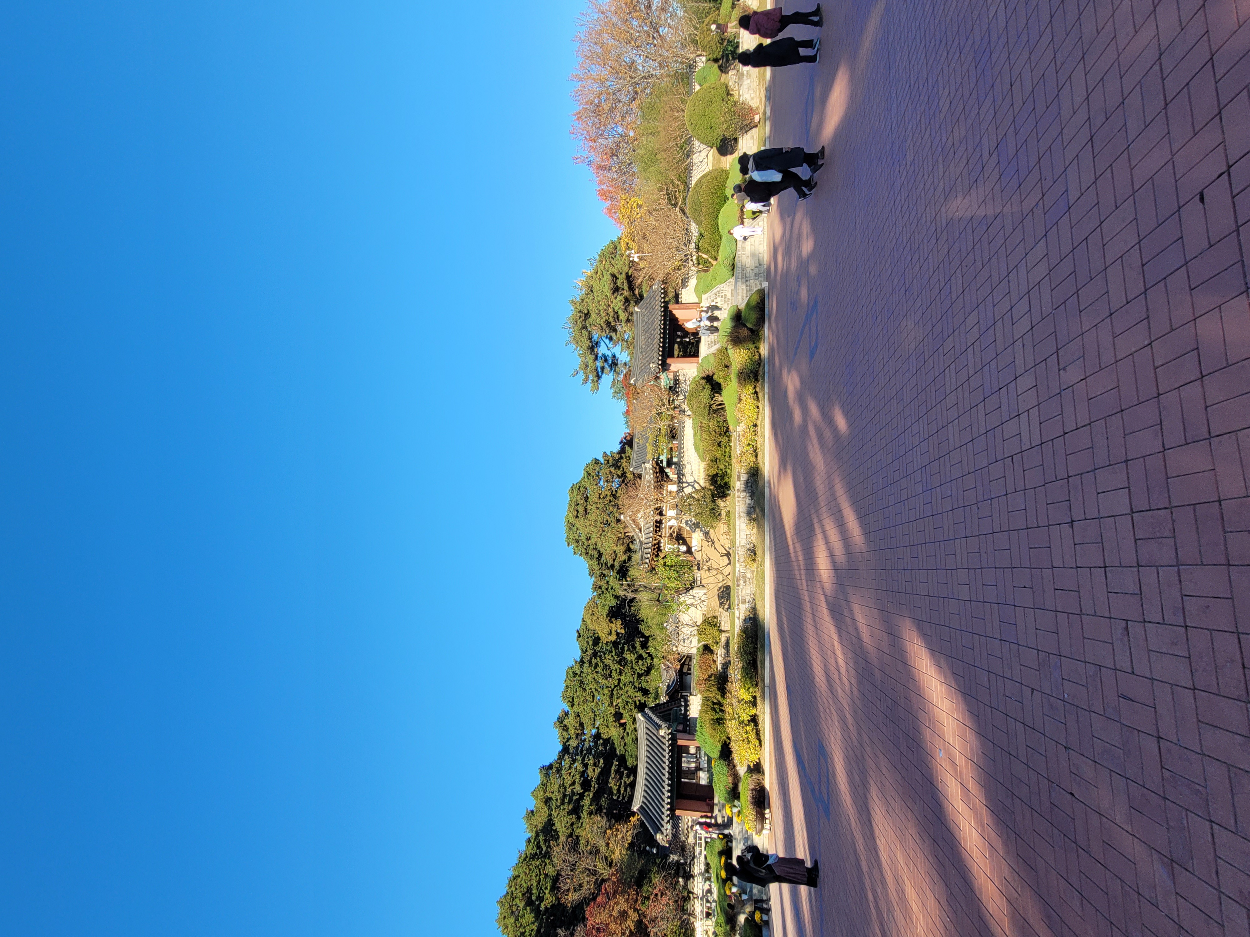 2022-11-06 00-06-0040.jpg