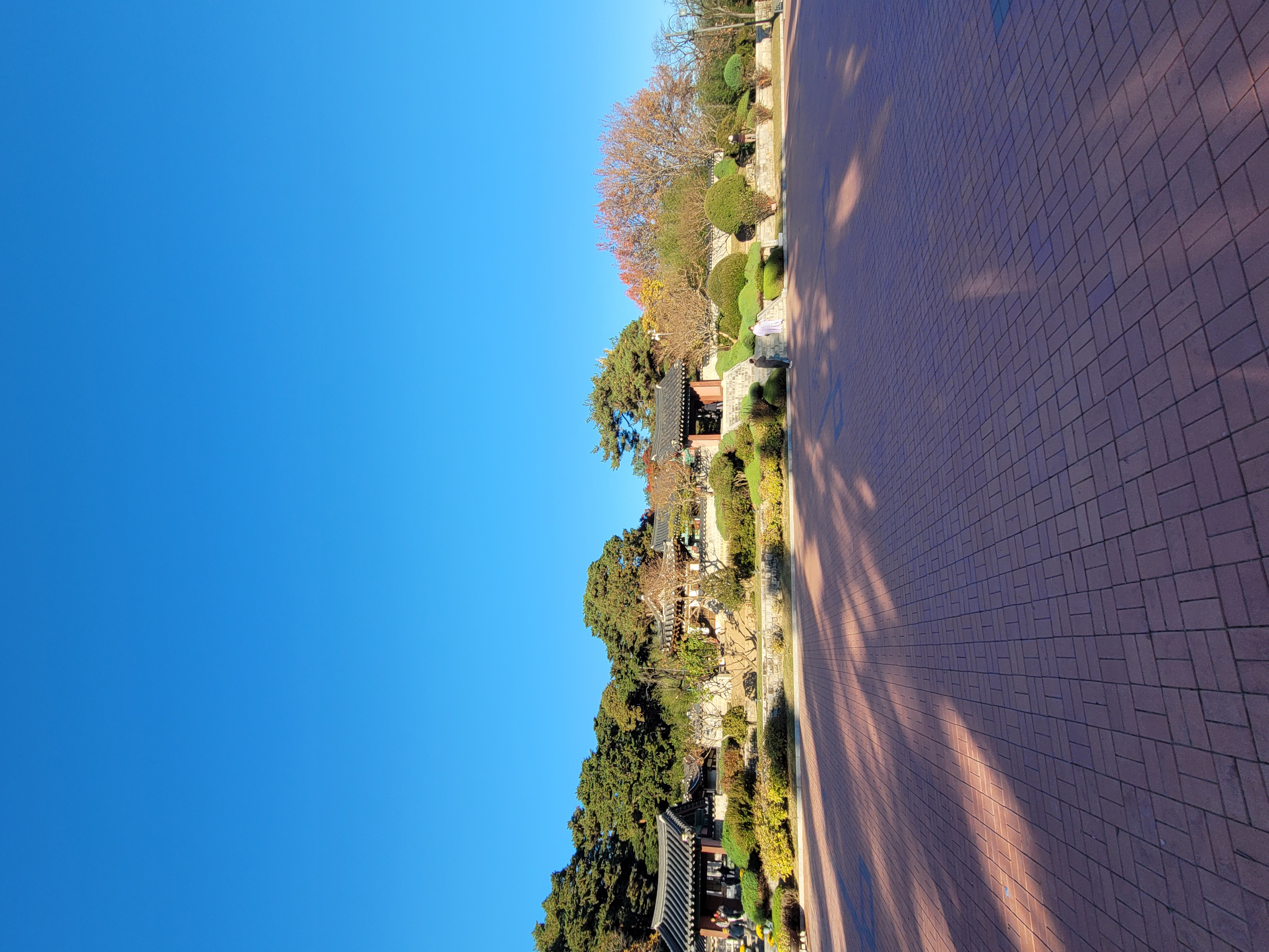 2022-11-06 00-06-0041.jpg