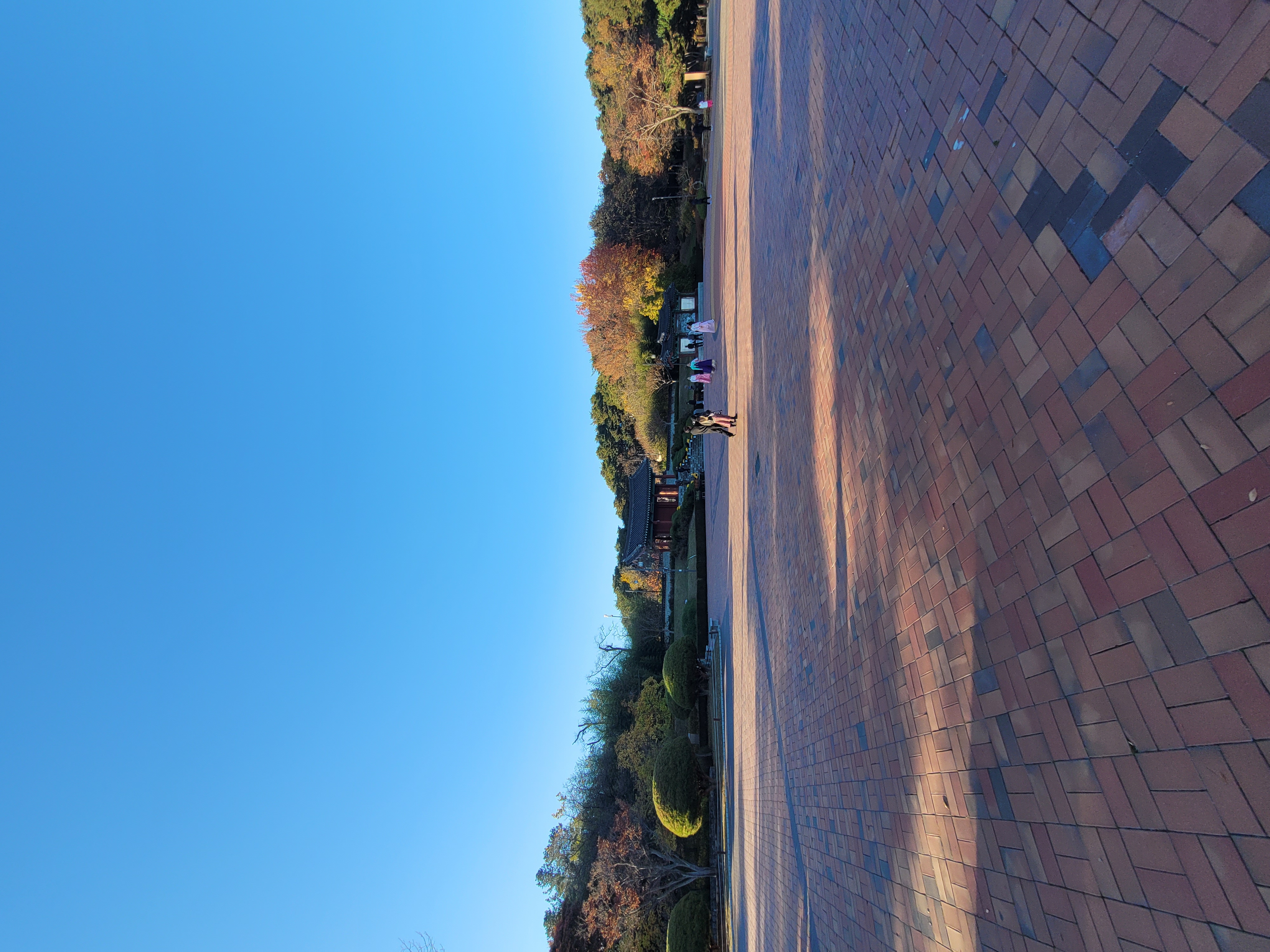 2022-11-06 00-06-0043.jpg