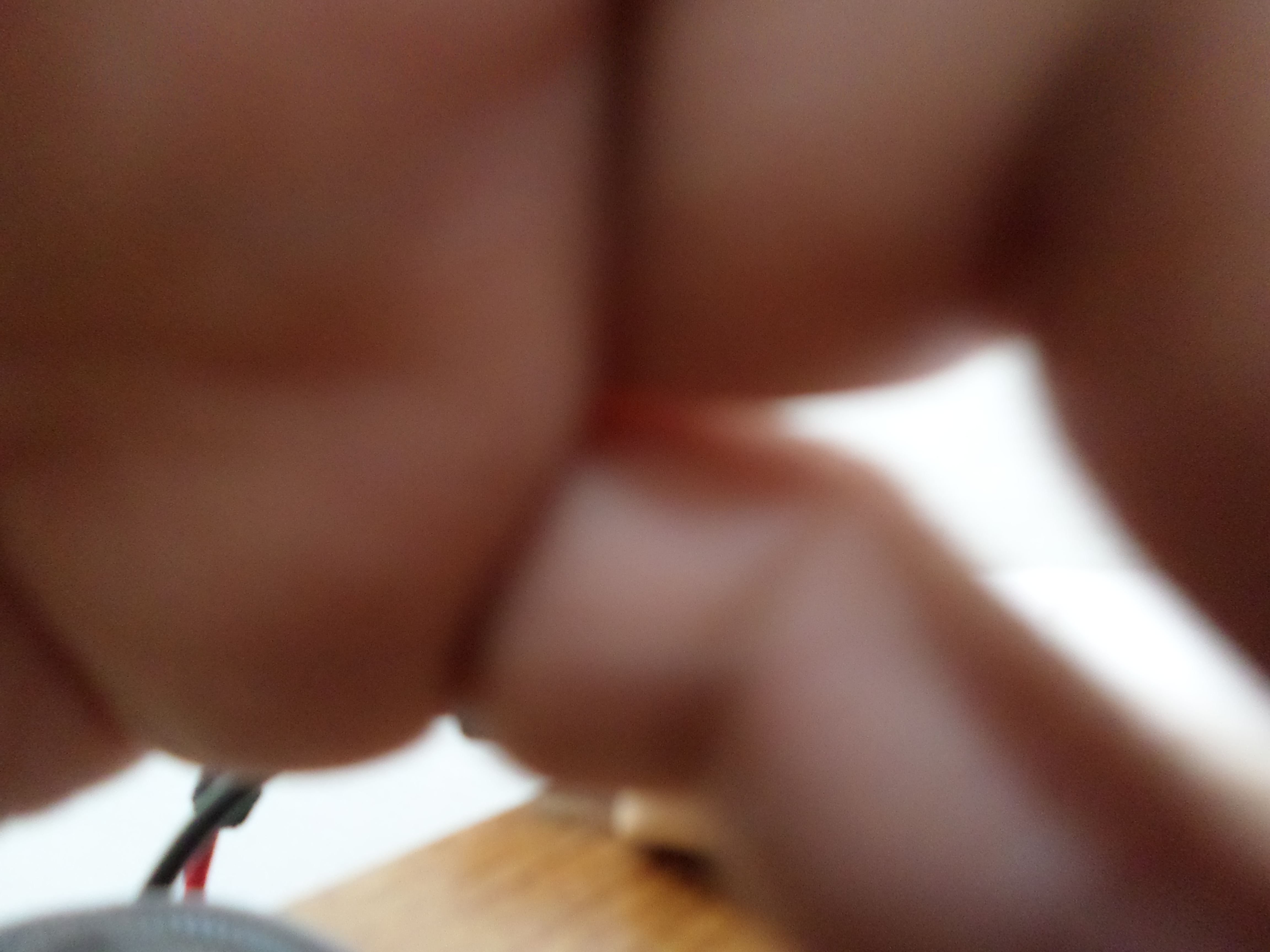 SAM_0014.JPG