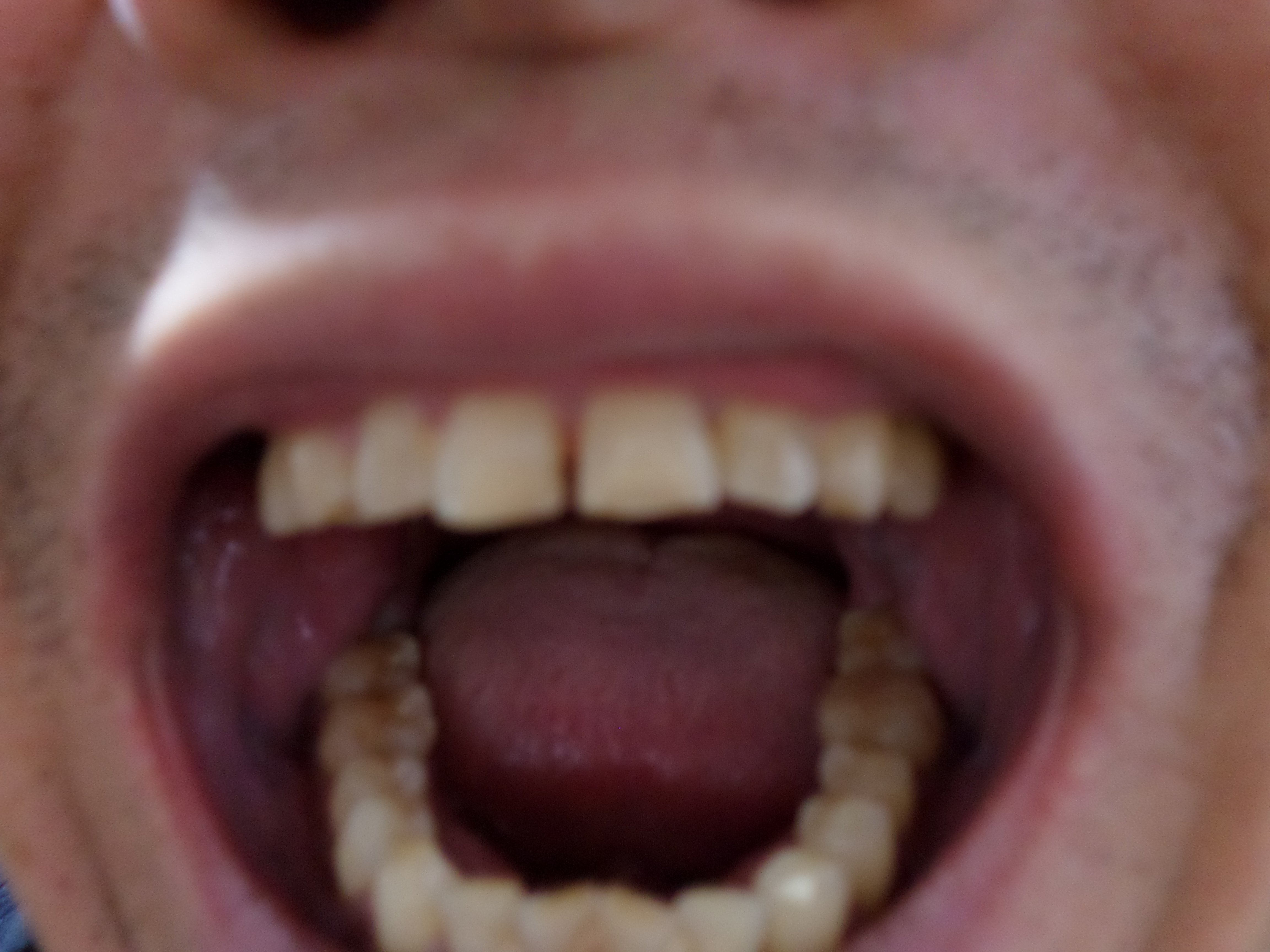 SAM_0053.JPG