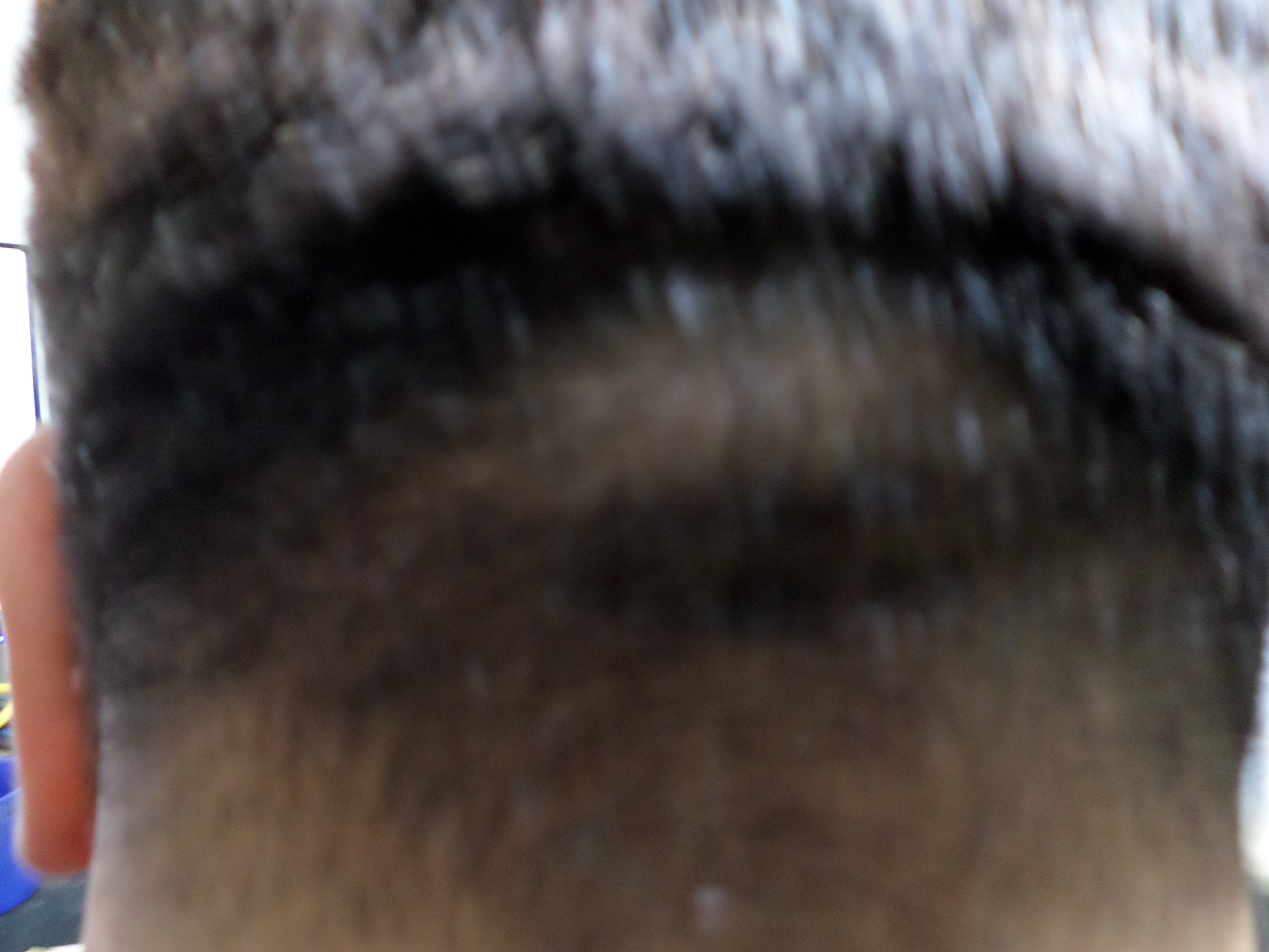 SAM_0056.JPG