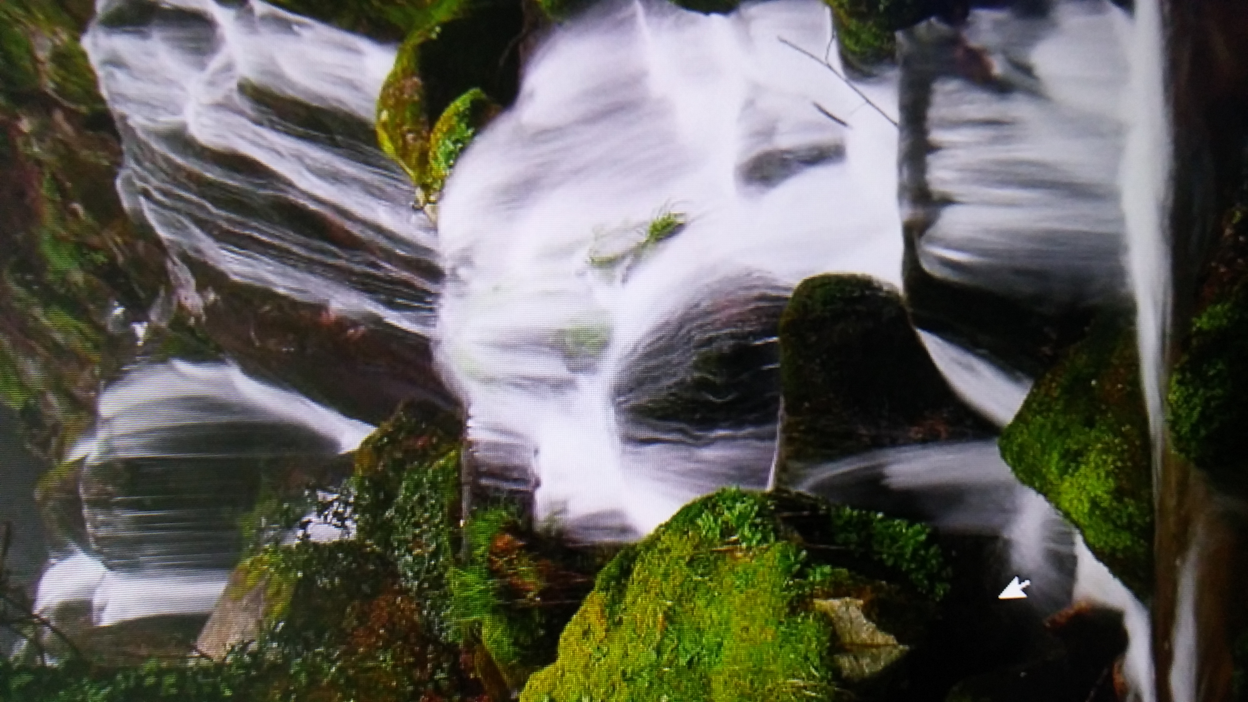 20161105_114211.jpg