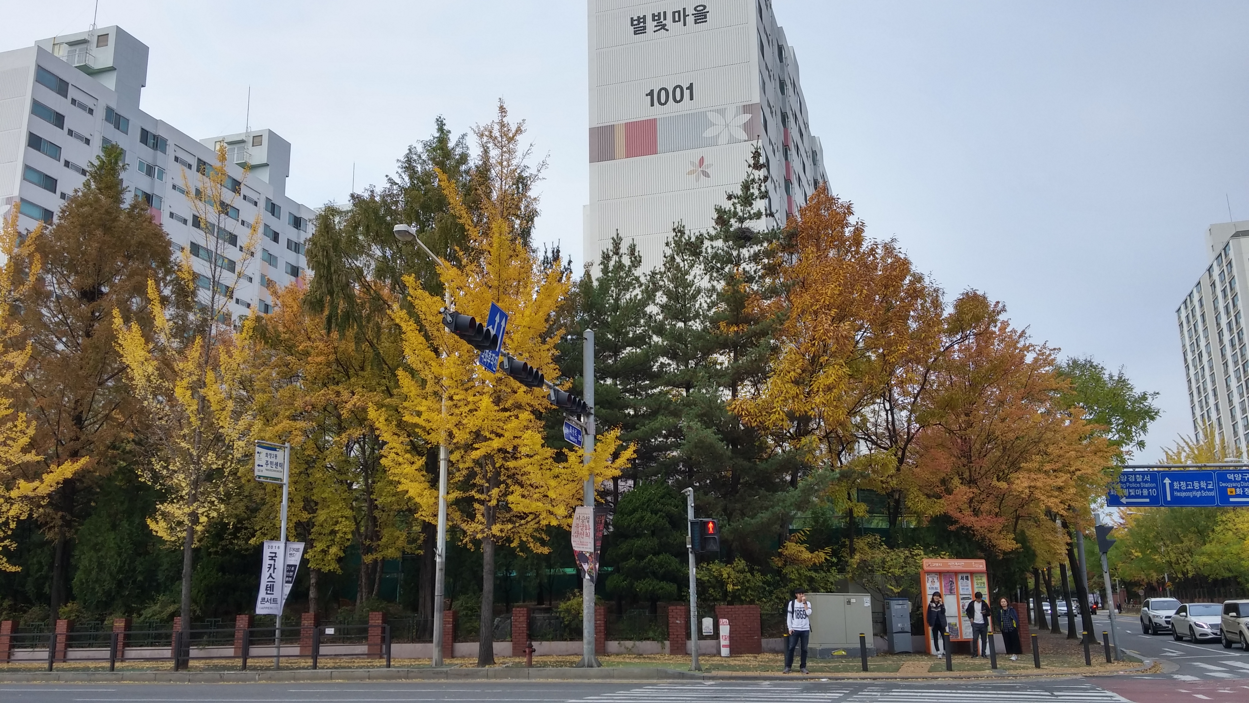 20161106_100202_HDR.jpg