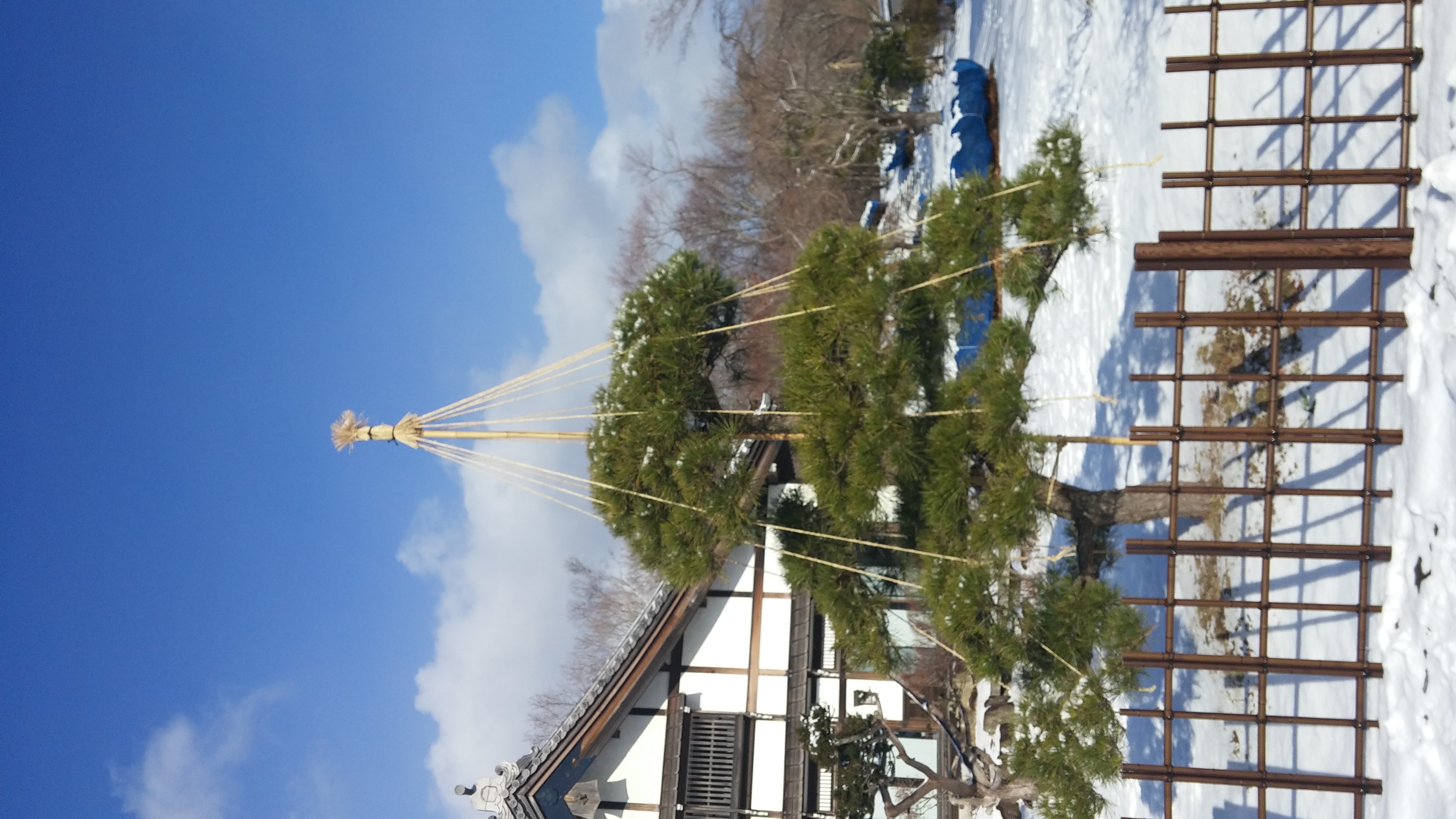 20161230_105041.jpg