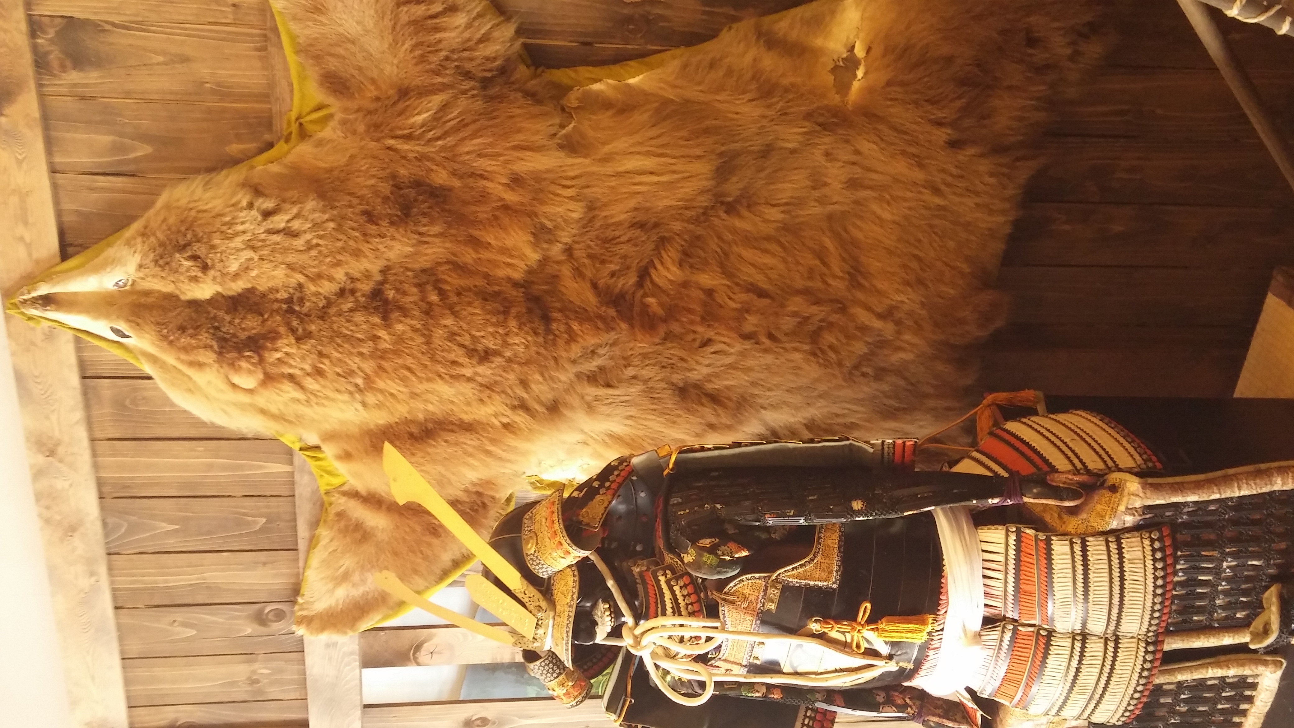 20161230_110155.jpg