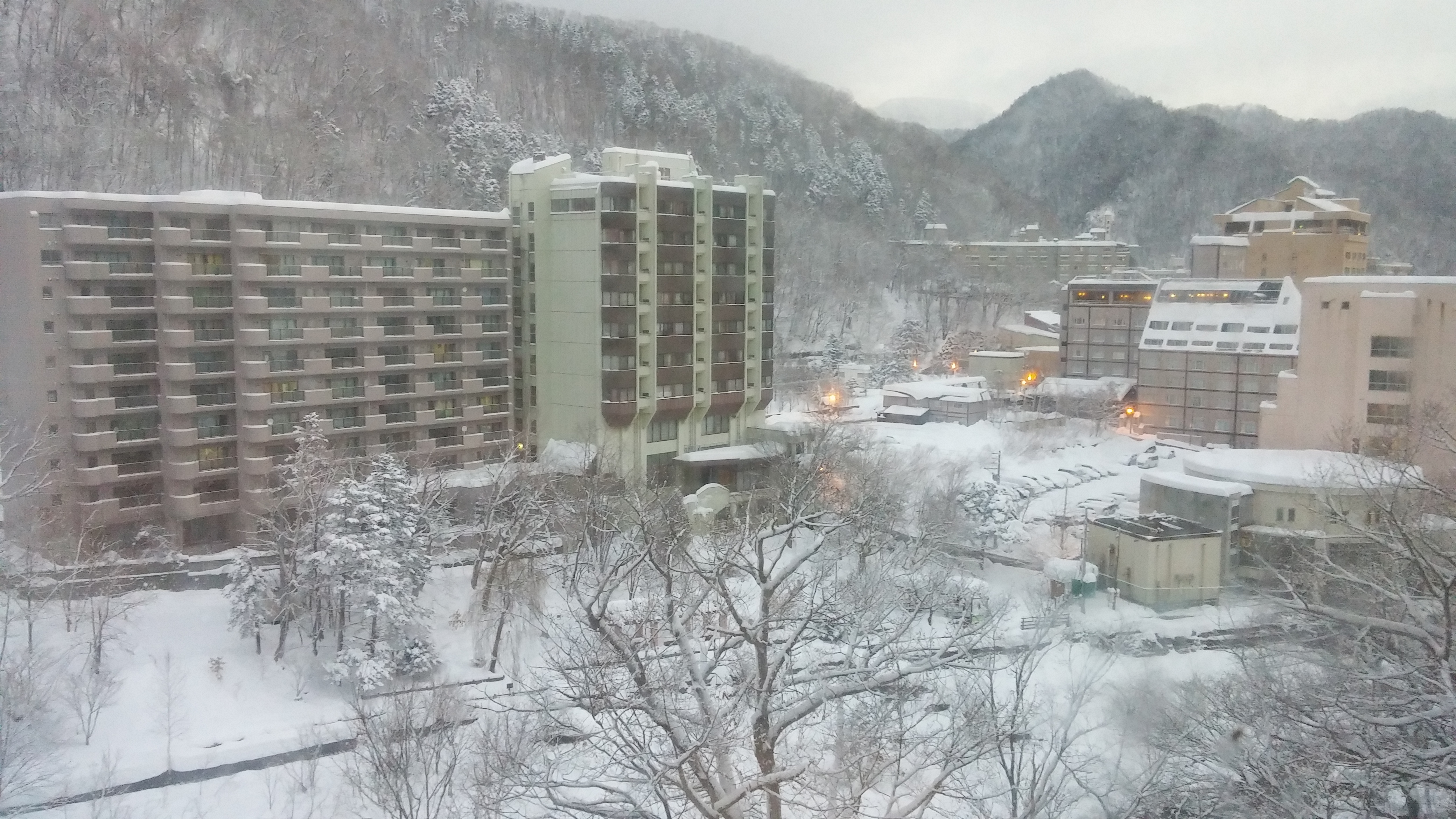 20161231_065844.jpg