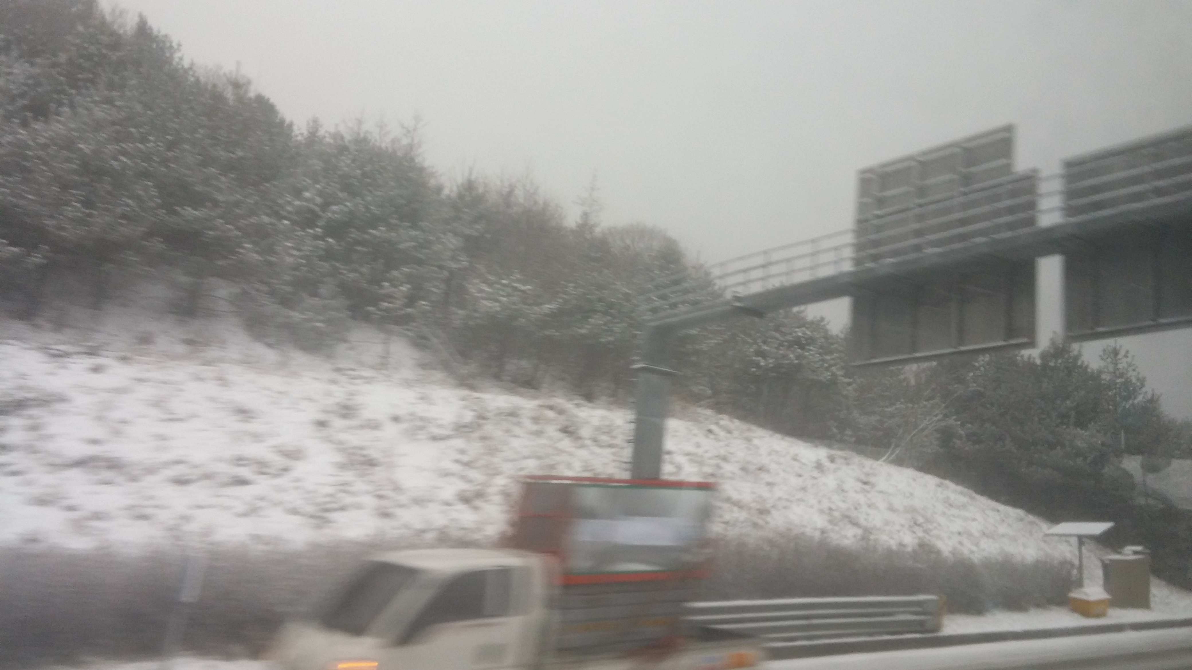 20170113_155951.jpg