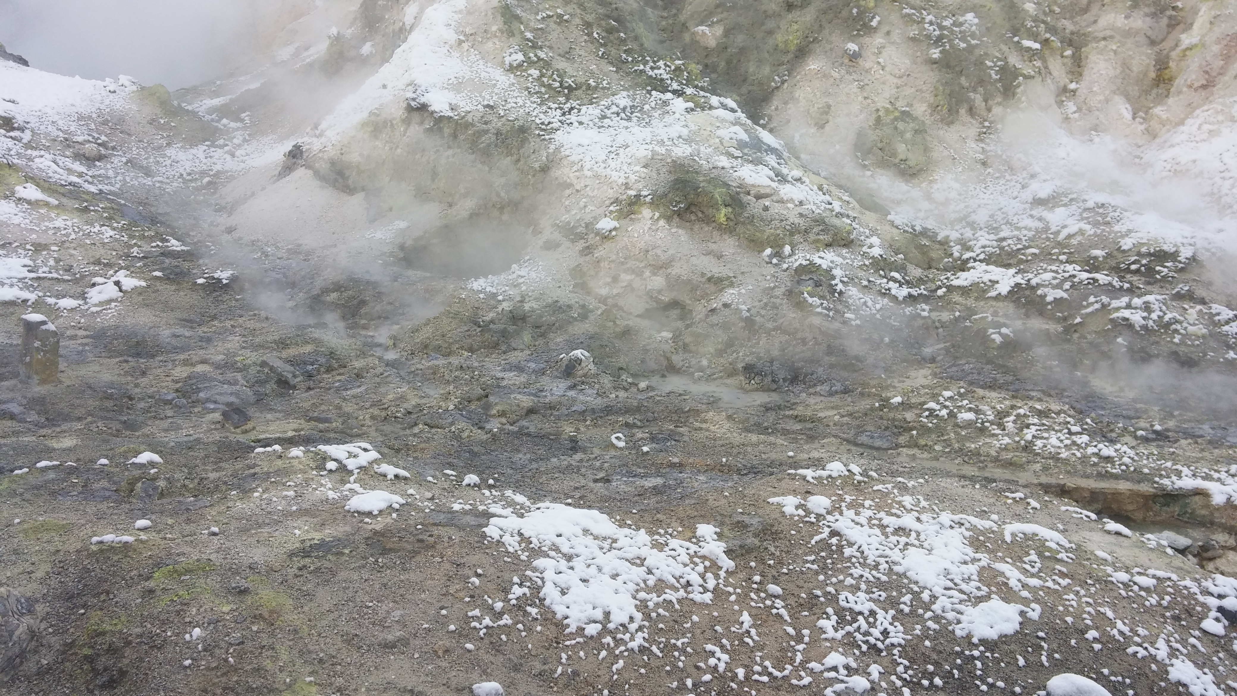 20161230_100944.jpg