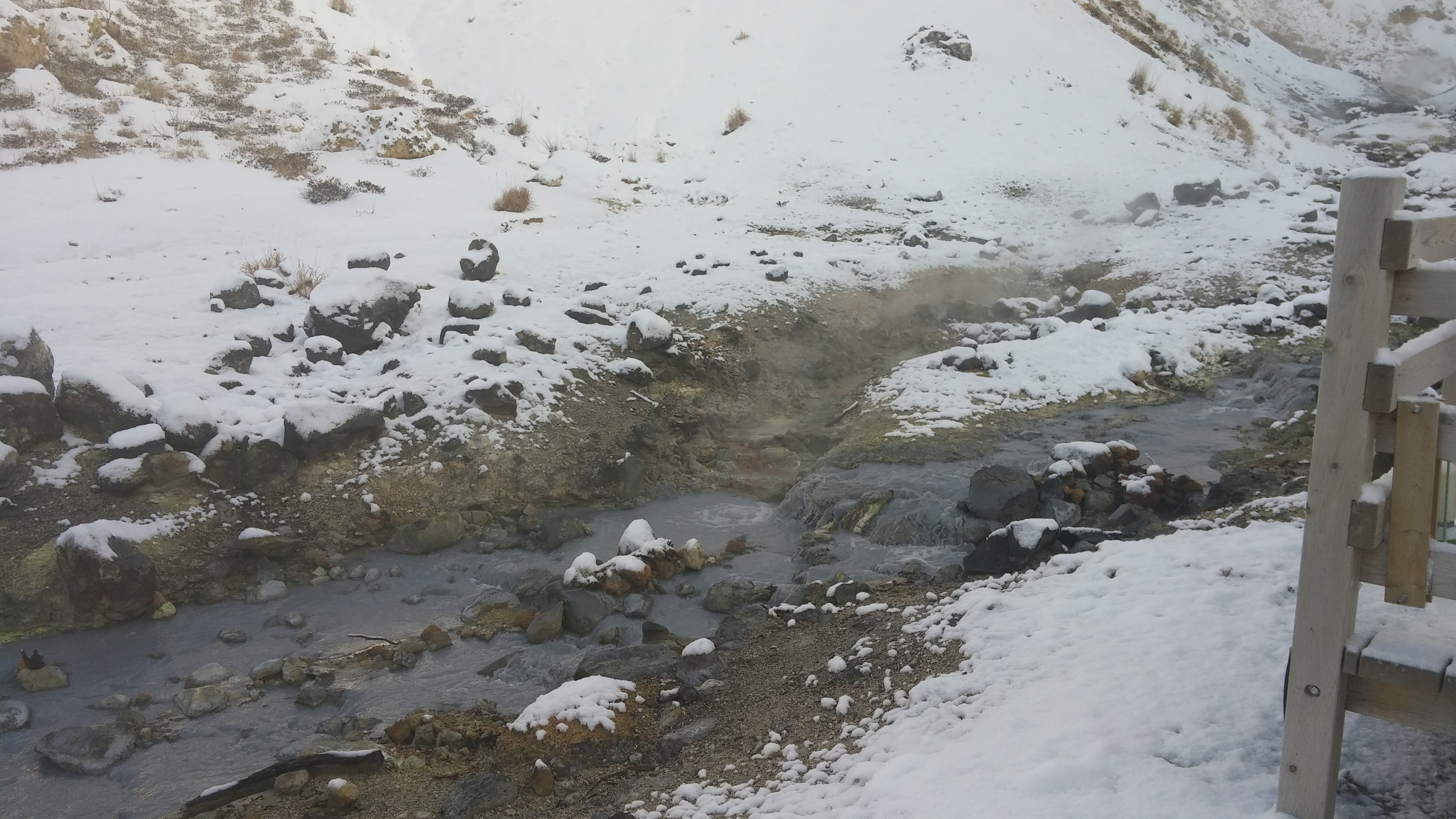 20161230_101016.jpg