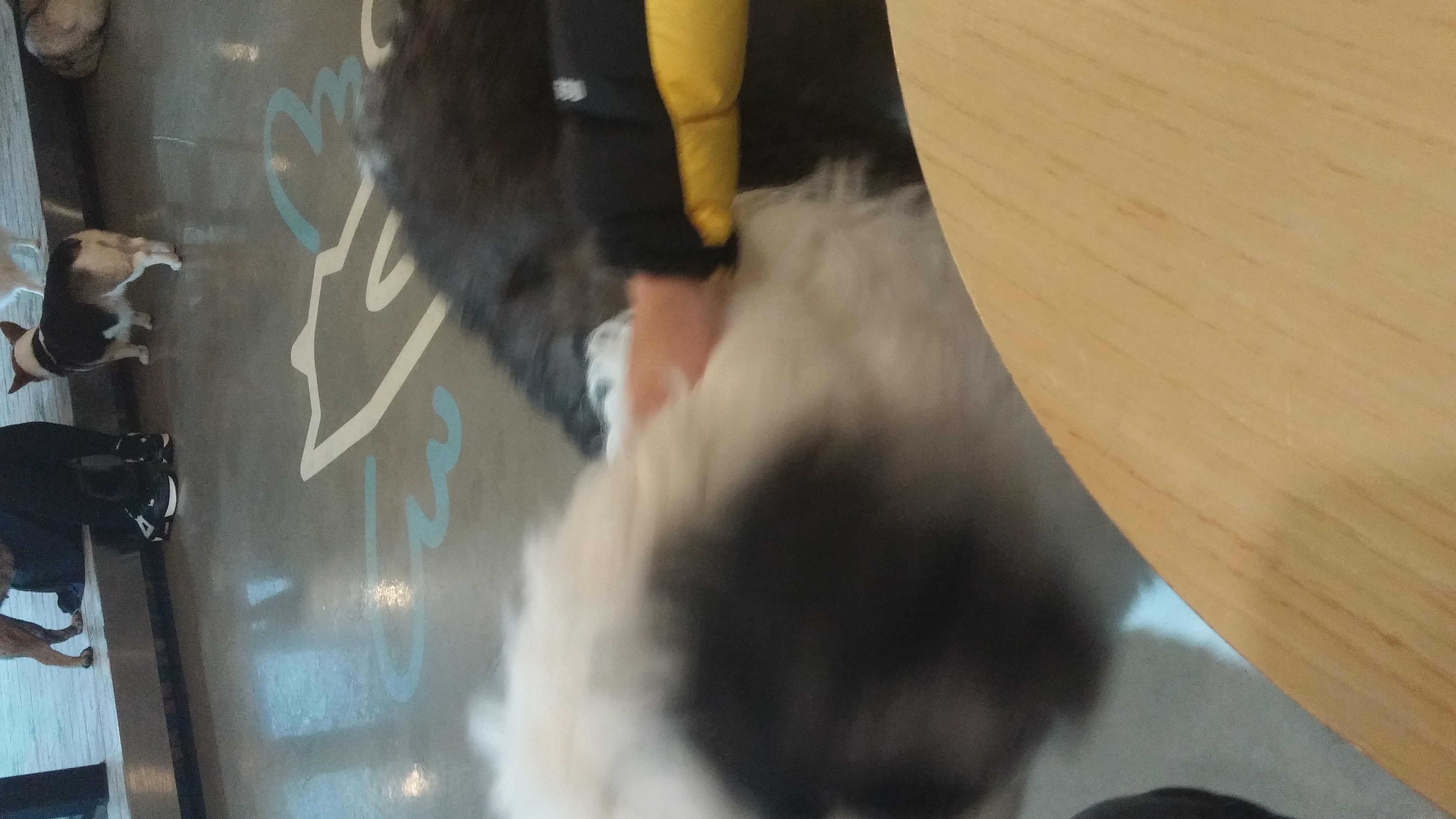 20170219_151032.jpg