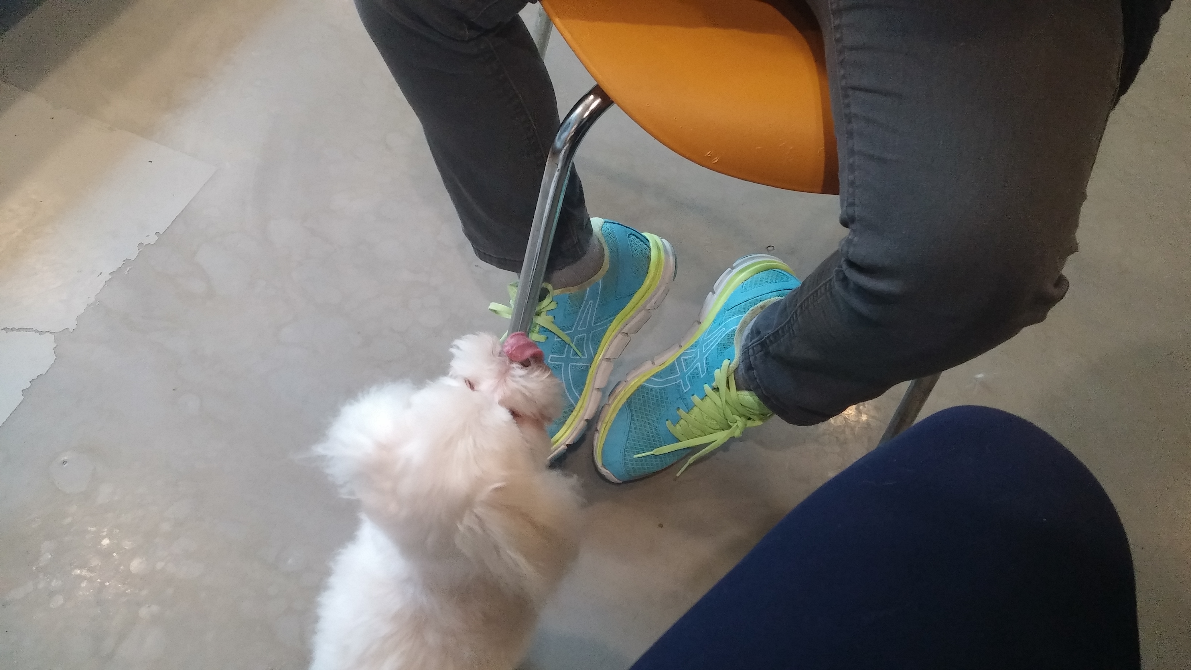 20170219_151827.jpg