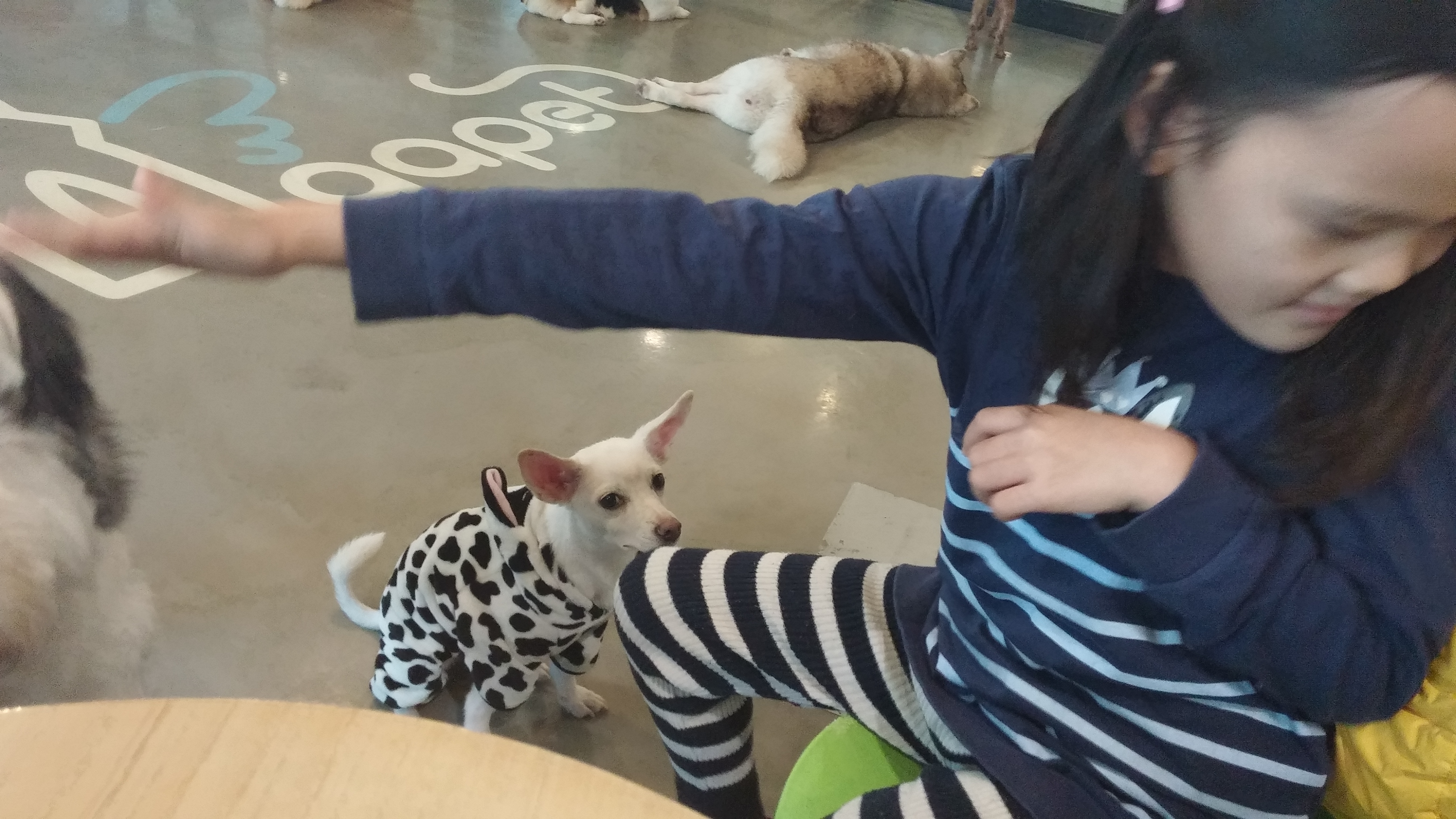 20170219_151906.jpg