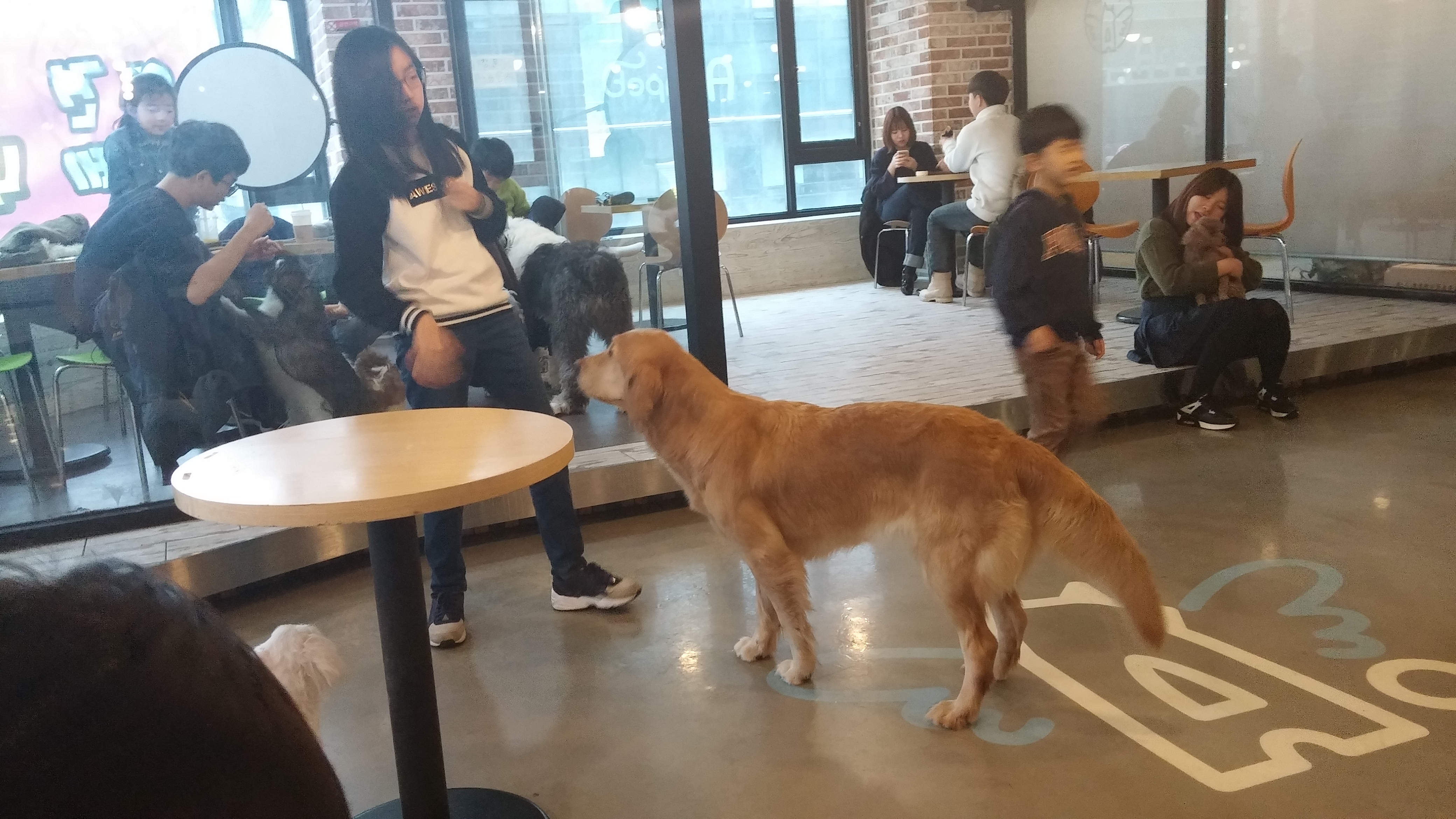 20170219_152709.jpg