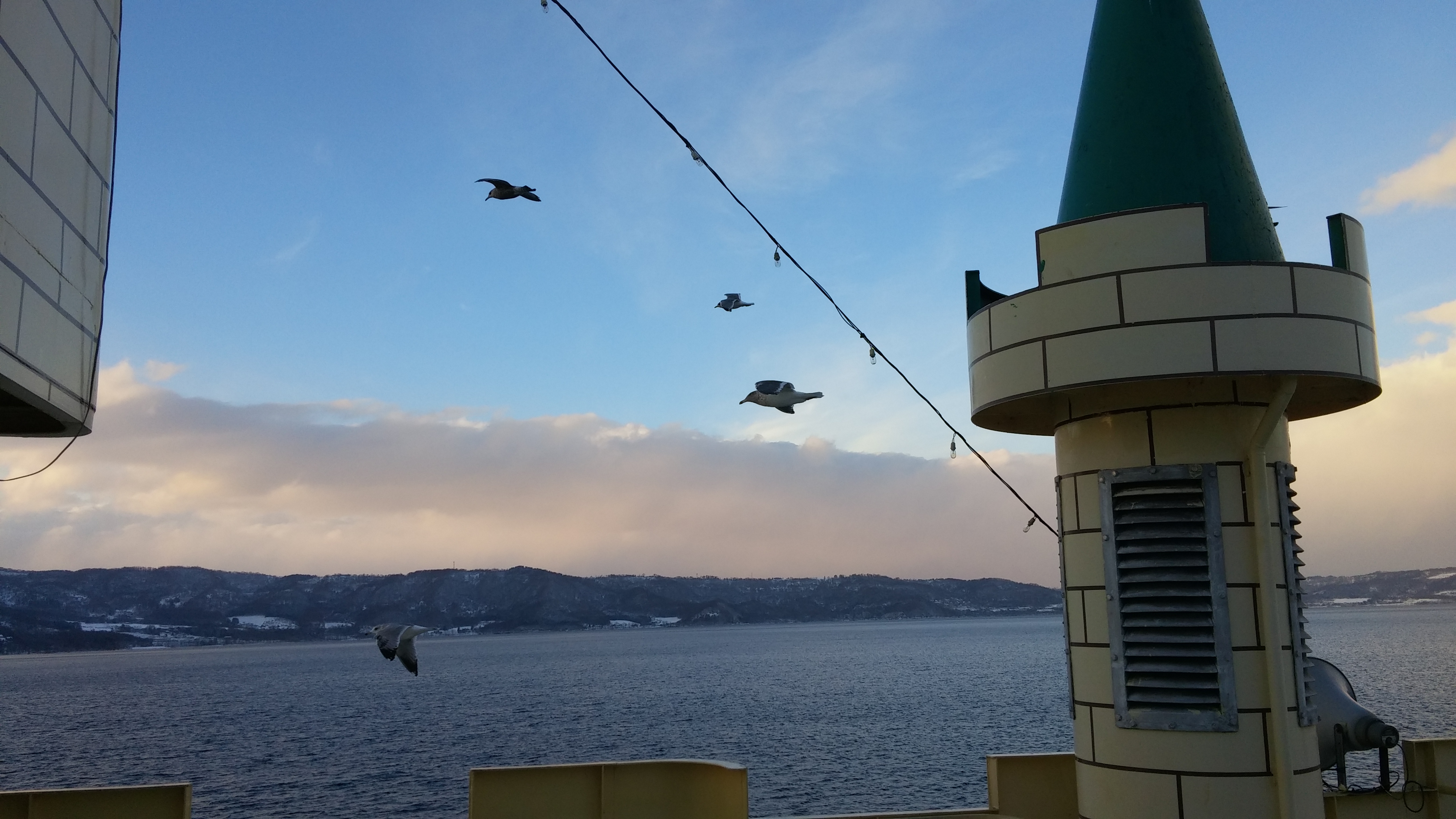 20161230_153351.jpg