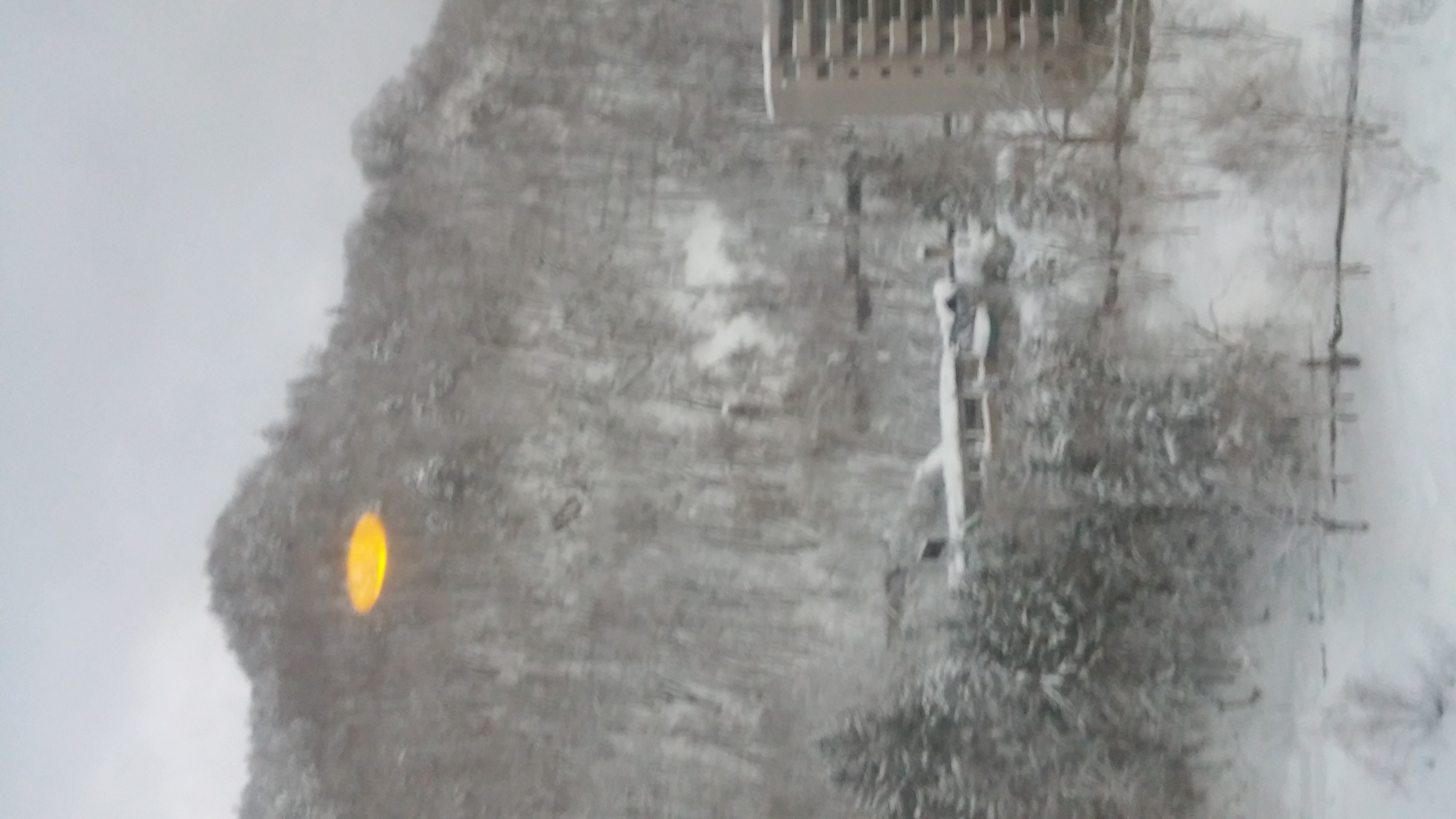 20161231_065733.jpg